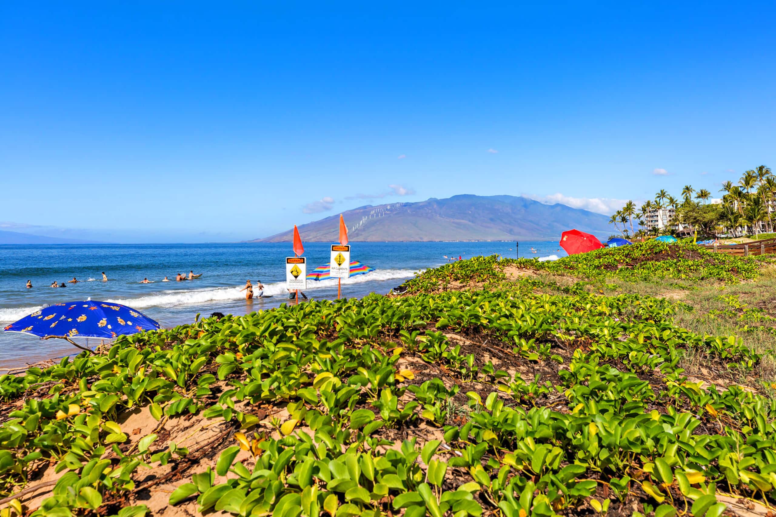 Condo in Kihei · ★4.81 · 1 bedroom · 2 beds · 1 private bath - Image 41