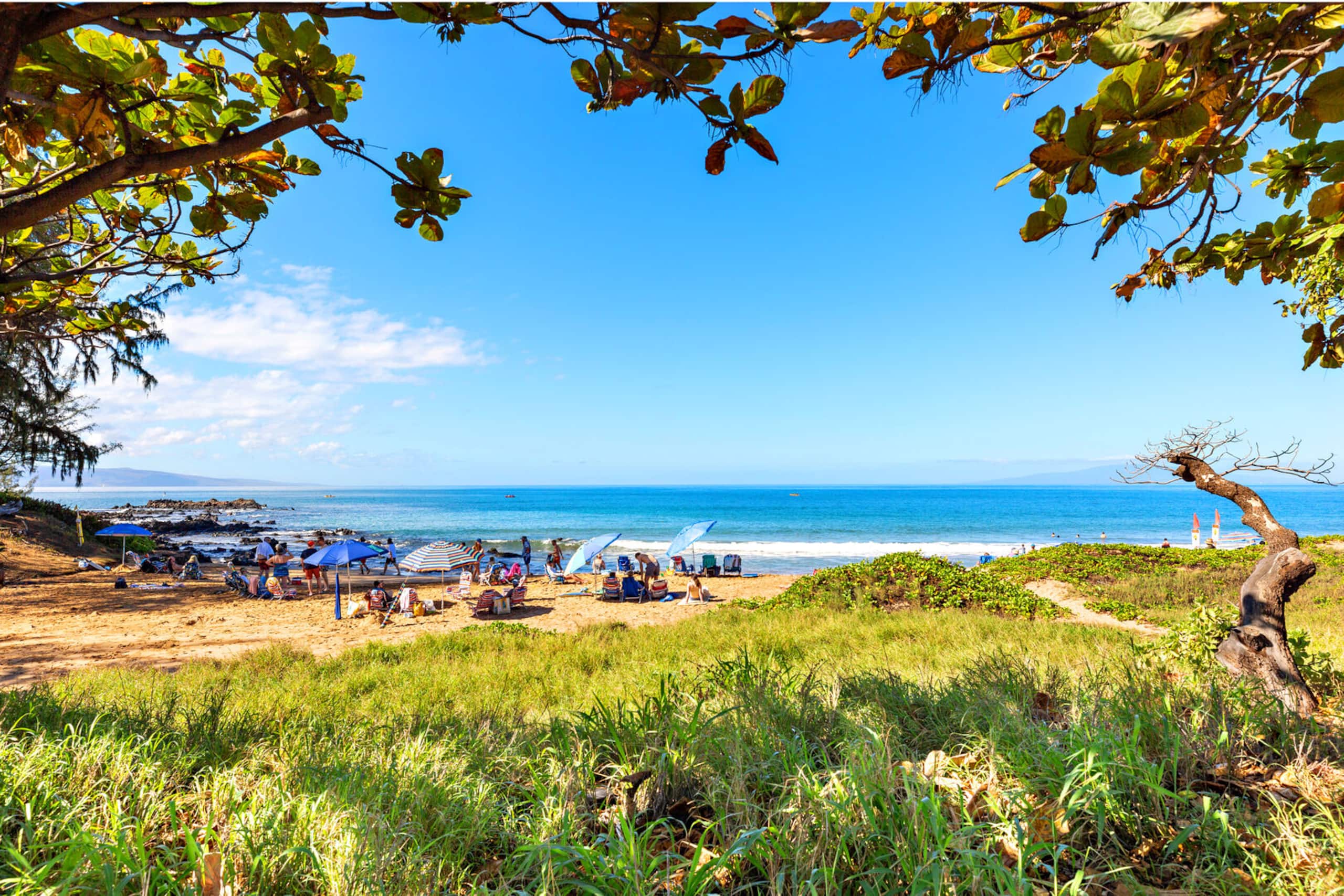 Condo in Kihei · ★4.81 · 1 bedroom · 2 beds · 1 private bath - Image 37