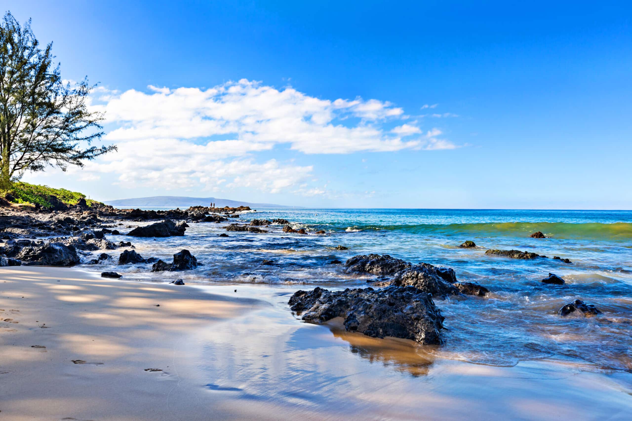 Condo in Kihei · ★4.81 · 1 bedroom · 2 beds · 1 private bath - Image 40