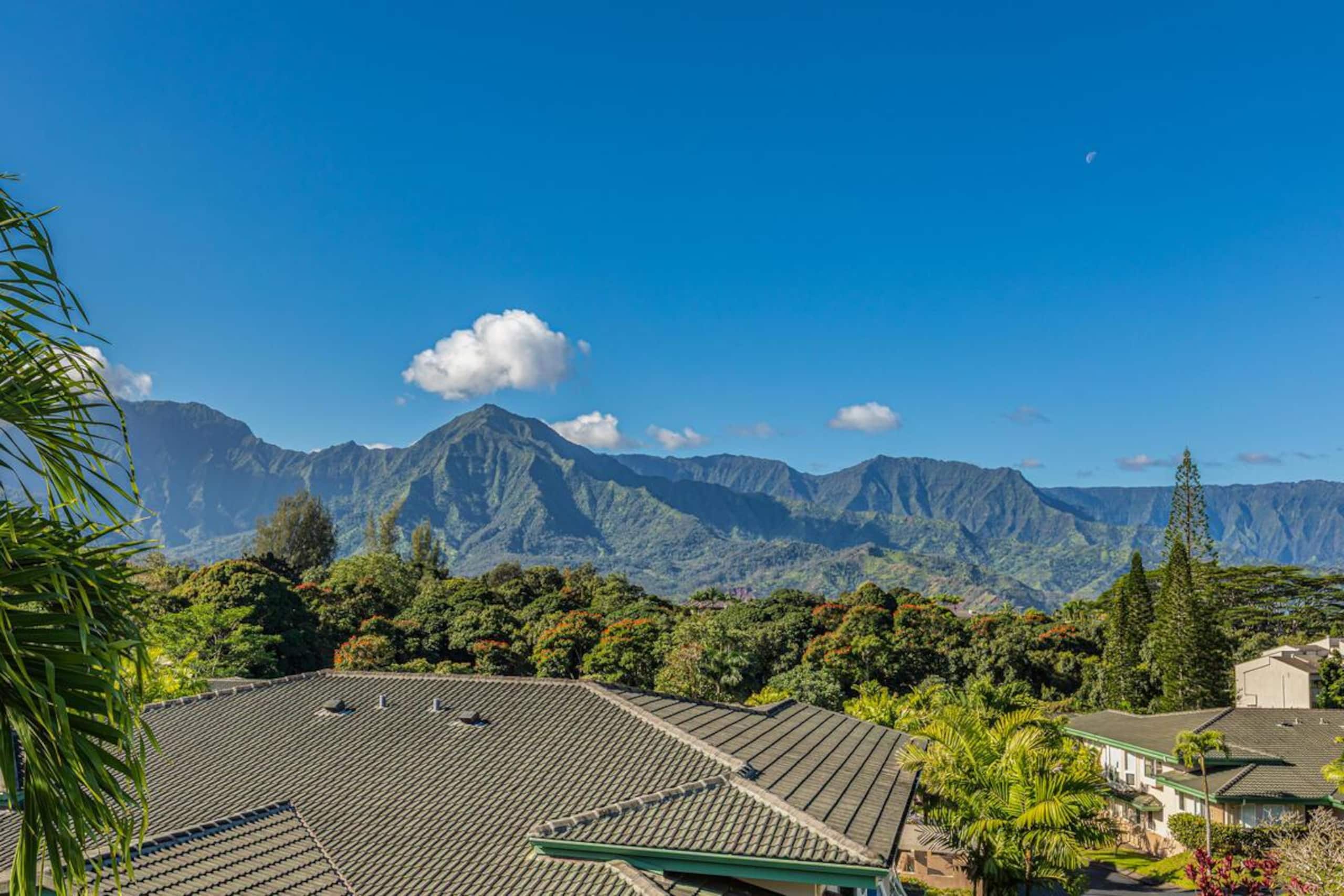 Condo in Princeville · ★4.94 · 3 bedrooms · 3 beds · 3 baths - Image 32