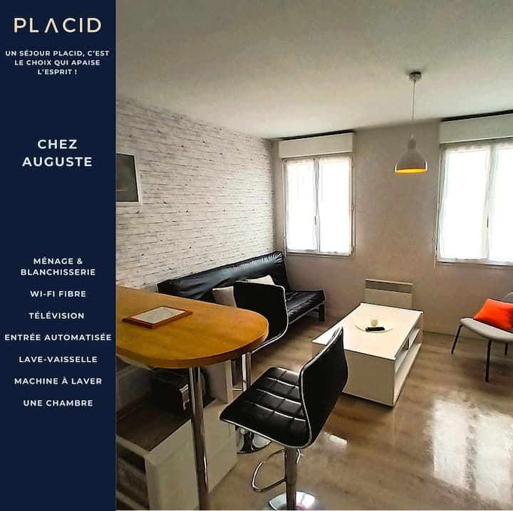 Chez Auguste - T2 Spacieux-wifi-tv - フランス トゥール