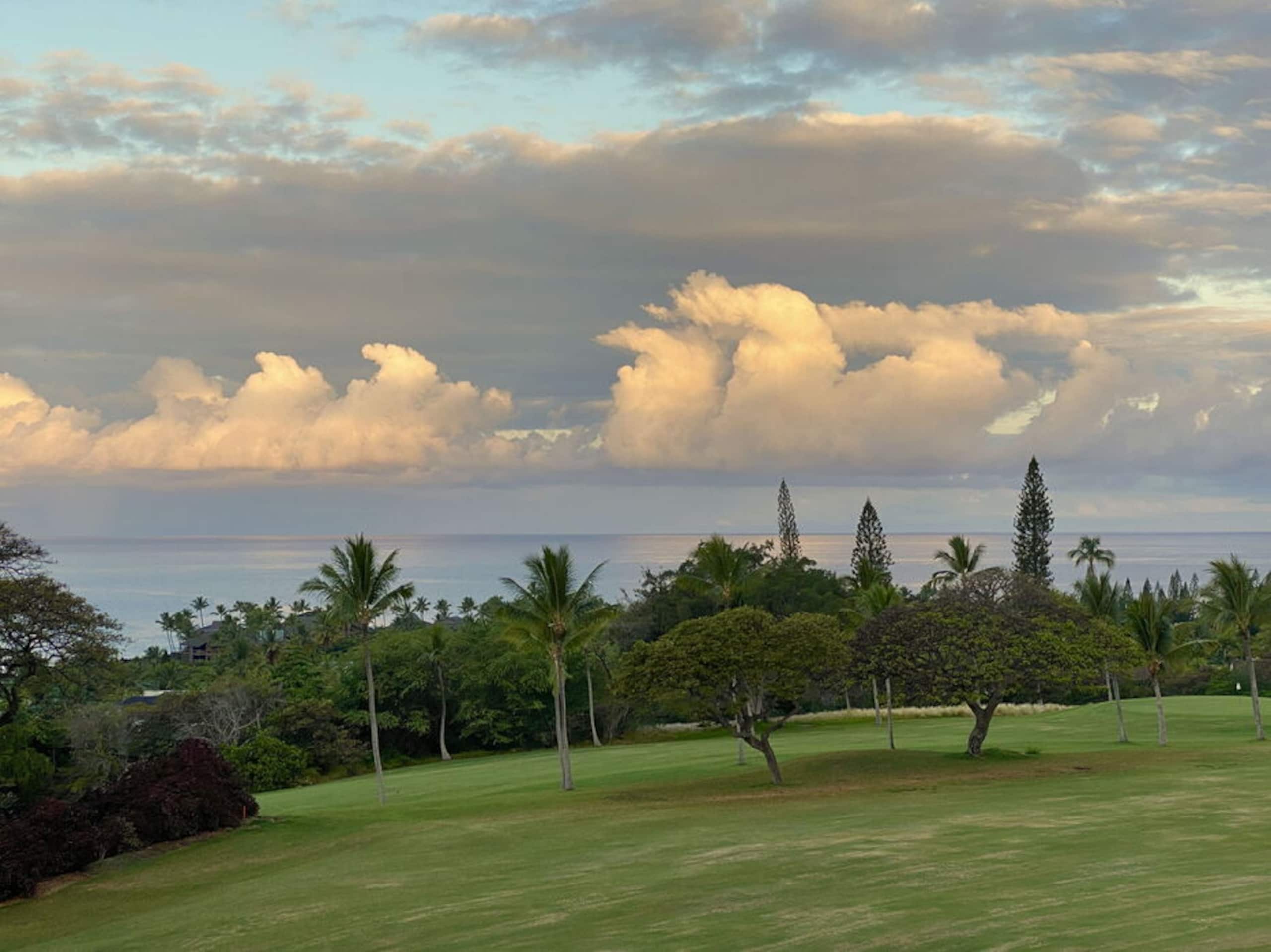 Condo in Kailua-Kona · ★5.0 · 2 bedrooms · 4 beds · 2.5 baths - Image 31