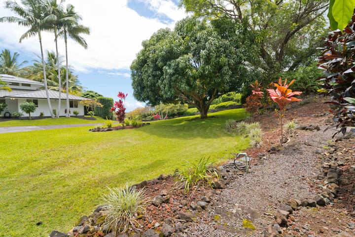 Luxury Retreat in Kona with Saltwater Pool gallery image 5