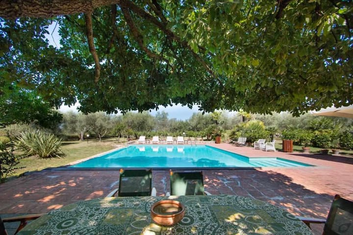 Villa With Private Pool Florence Chianti