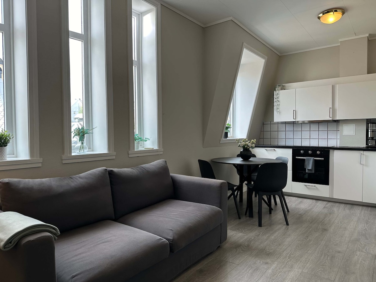 Curated visual reference: Picture Idea: Bryggen Penthouse Apartments For Rent In Bergenhus Vestland Norway