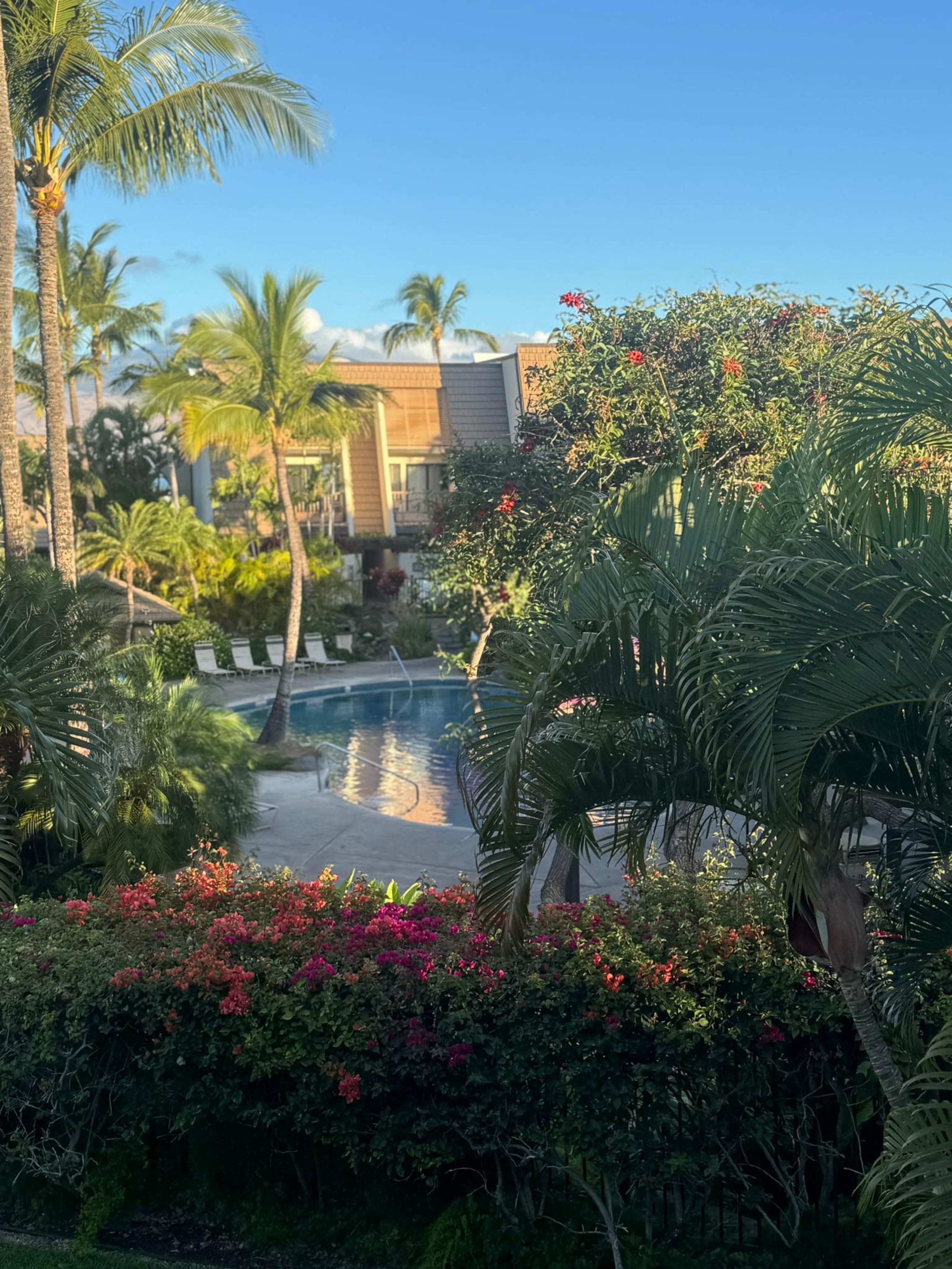 Condo in Kihei · ★5.0 · 2 bedrooms · 2 beds · 2 private baths - Image 38
