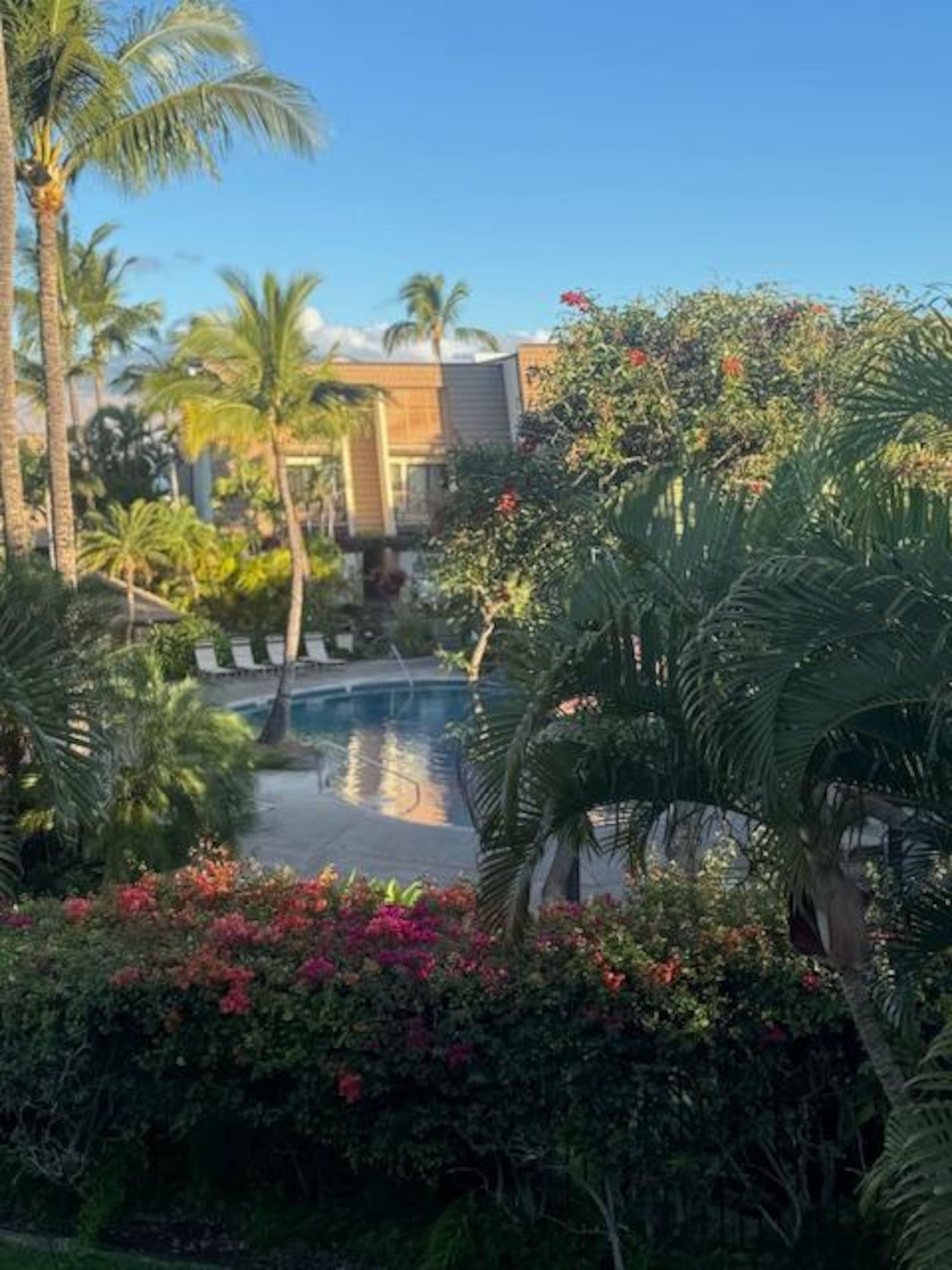 Condo in Kihei · ★5.0 · 2 bedrooms · 2 beds · 2 private baths - Image 55