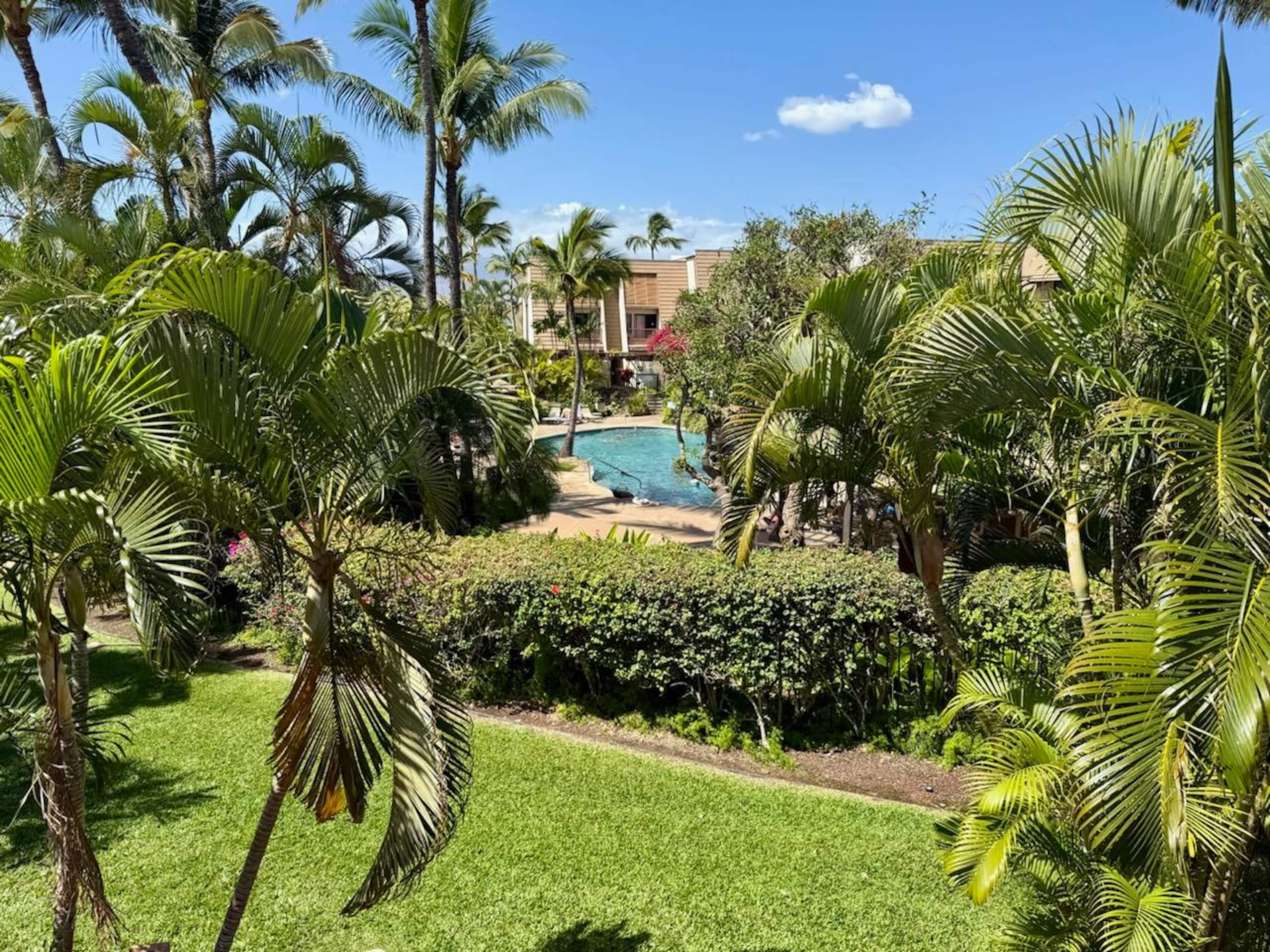 Condo in Kihei · ★5.0 · 2 bedrooms · 2 beds · 2 private baths - Image 66