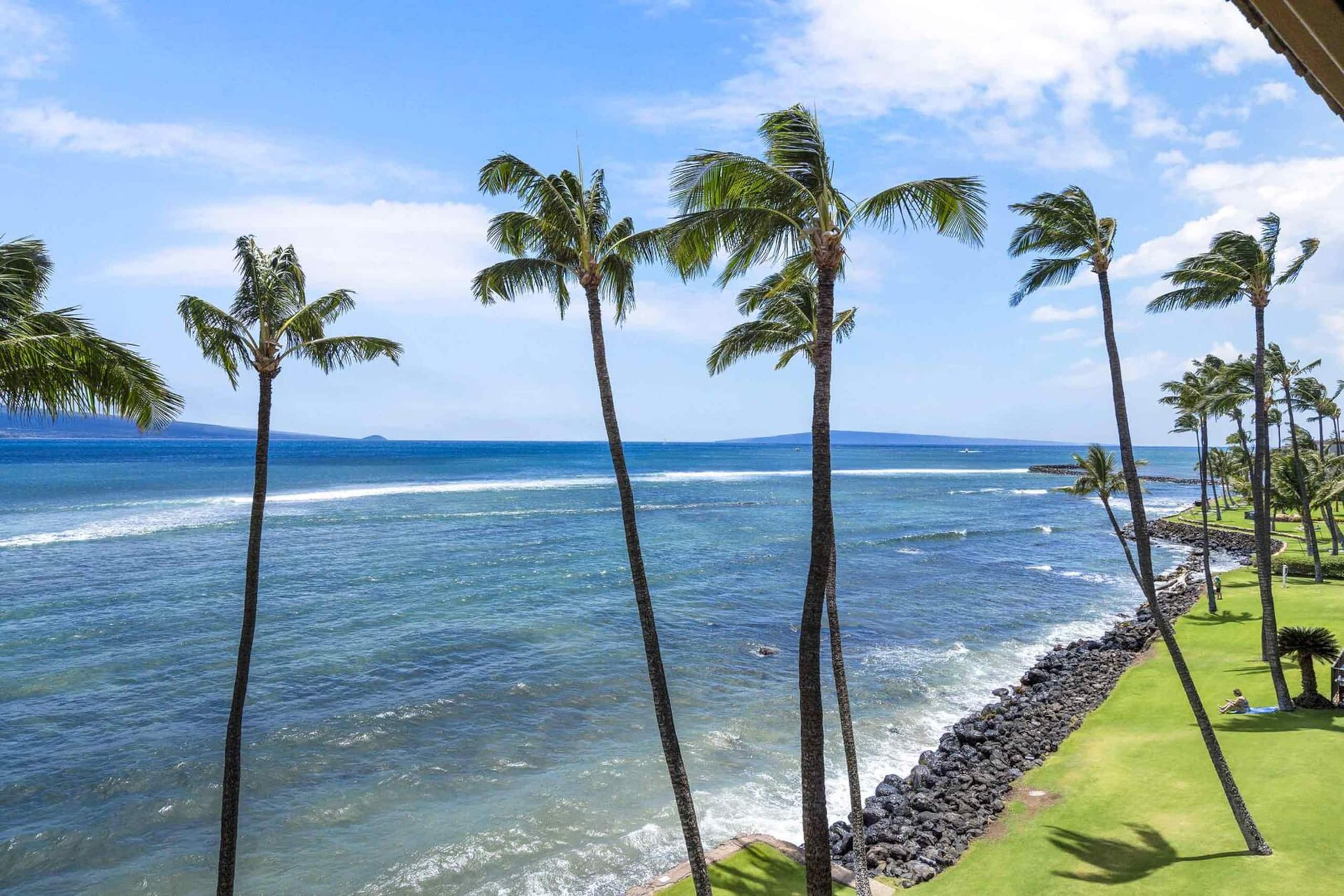Condo in Wailuku · ★5.0 · 2 bedrooms · 3 beds · 2 baths - Image 33