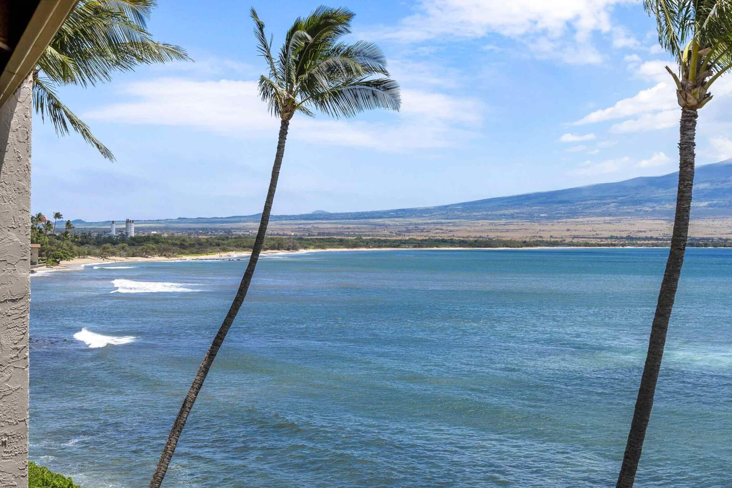 Condo in Wailuku · ★5.0 · 2 bedrooms · 3 beds · 2 baths - Image 44