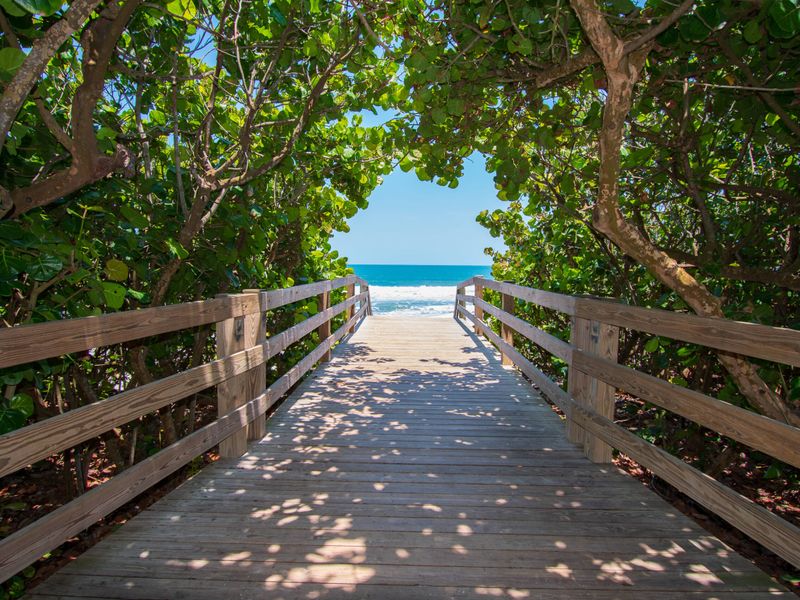 A wooden boardwalk leads through lush greenery towards the ocean. The path is bordered by leafy trees, creating a natural archway that frames the view of the calm blue water and clear sky, inviting visitors to step forward to the sandy beach.