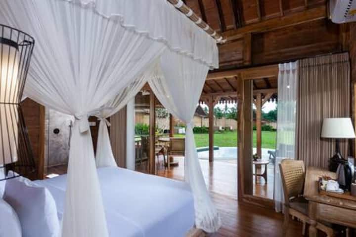 DITUJU Ubud %C2%B7 חדש%7Cמקום מפלט רומנטי מעץ באובוד%E2%80%99s שדות אורז