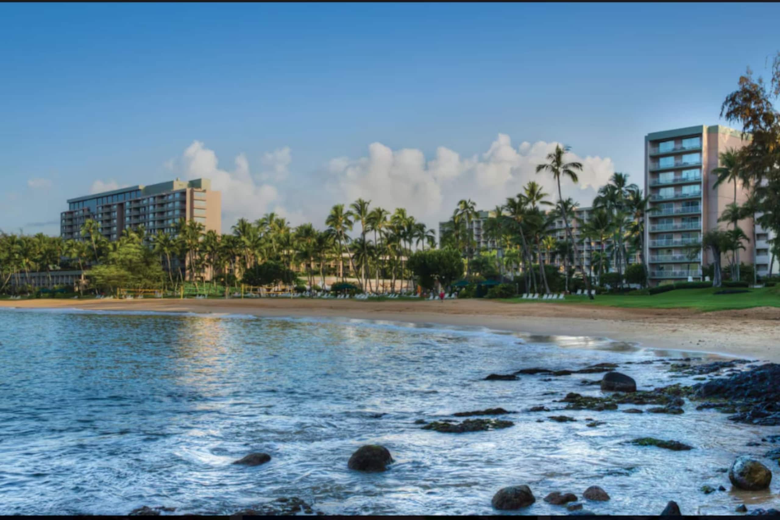 Condo in Lihue · ★5.0 · 1 bedroom · 1 bed · 1 bath - Image 11