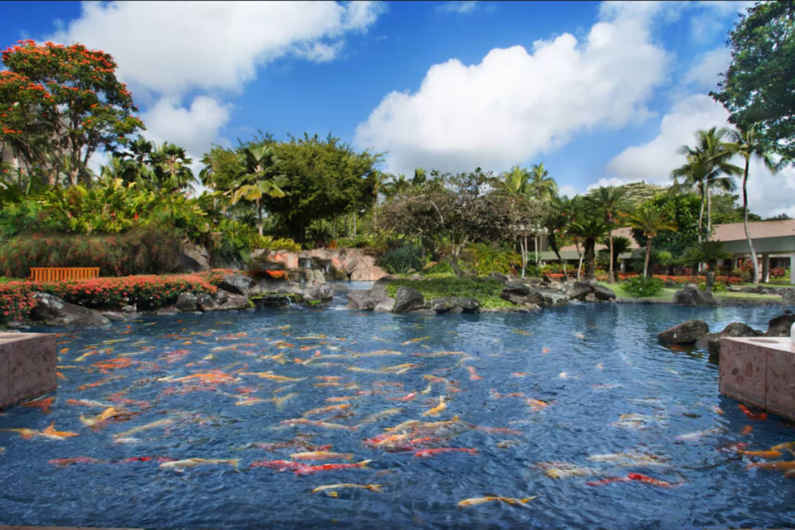 Condo in Lihue · ★5.0 · 1 bedroom · 1 bed · 1 bath - Image 15