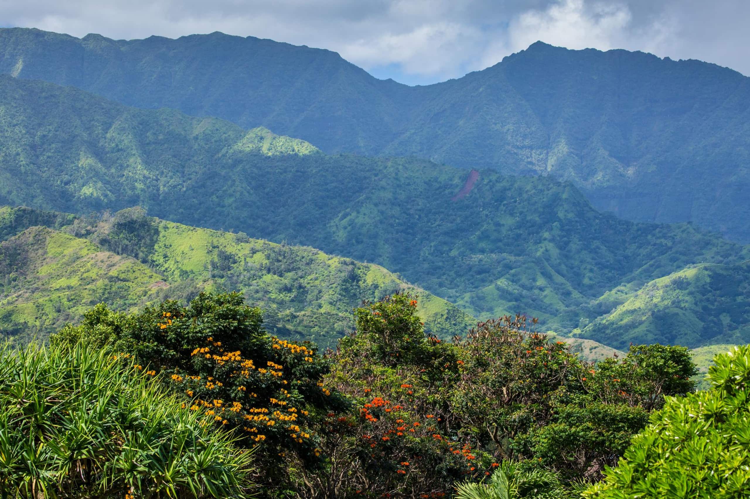 Cabin in Hanalei · ★4.8 · 2 bedrooms · 2 beds · 1 bath - Image 21