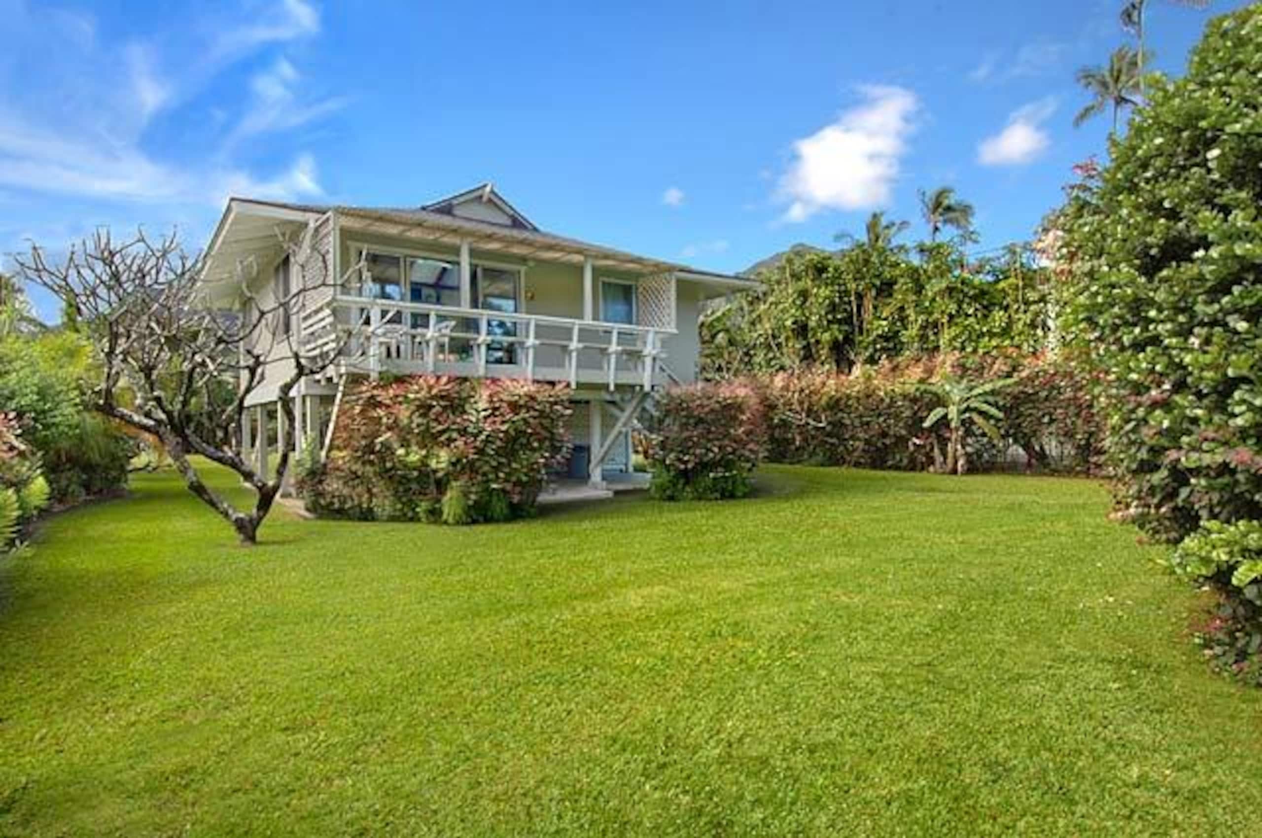 Cabin in Hanalei · ★4.8 · 2 bedrooms · 2 beds · 1 bath - Image 3