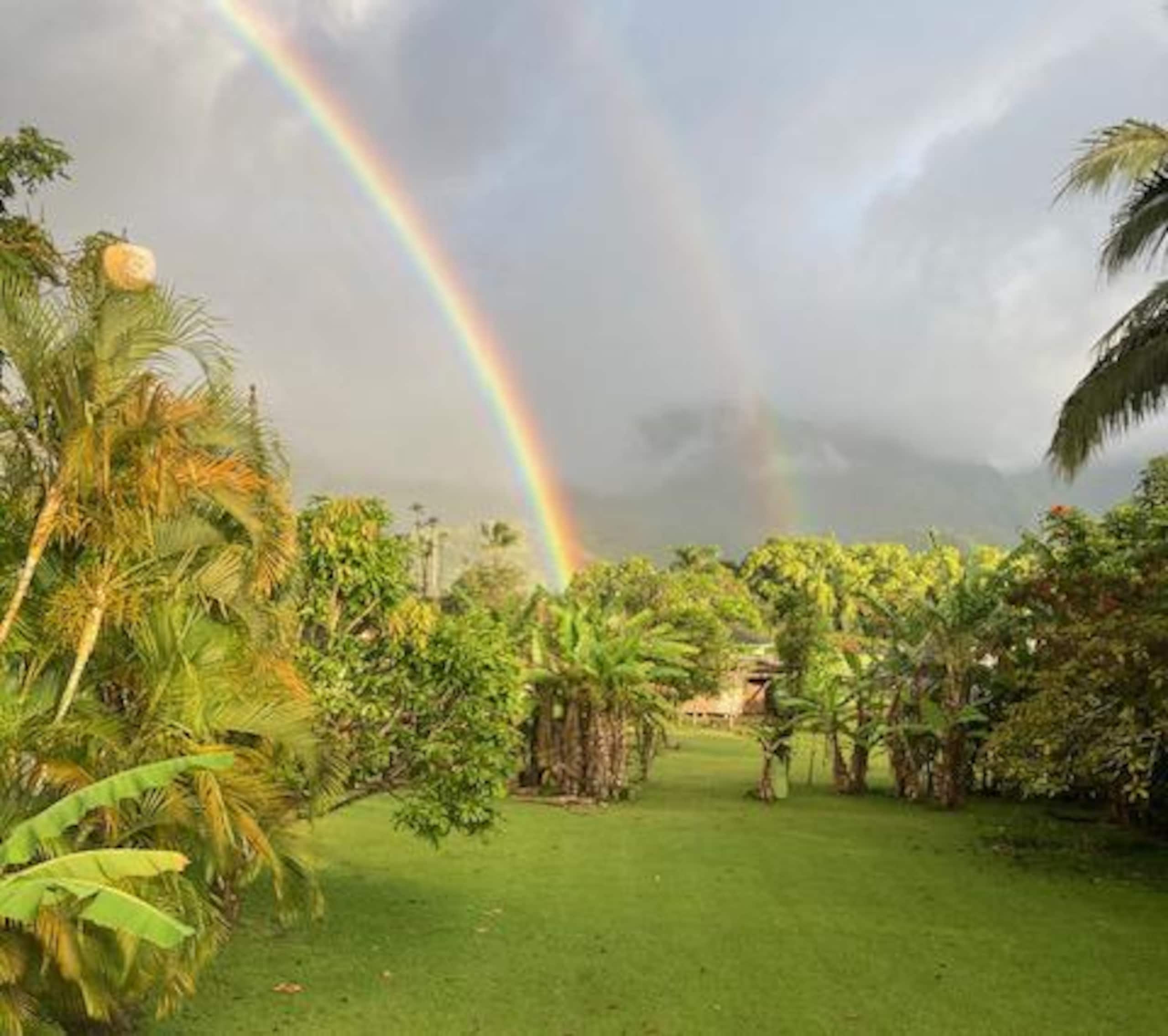 Cabin in Hanalei · ★4.8 · 2 bedrooms · 2 beds · 1 bath - Image 9