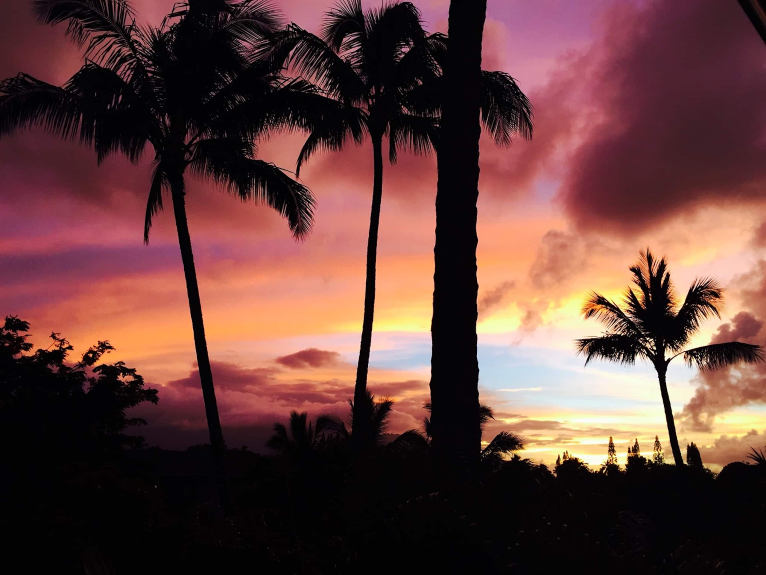 A/C Vibrant Tropical Sunsets ~Heated Pool/Jacuzzi - Image 10