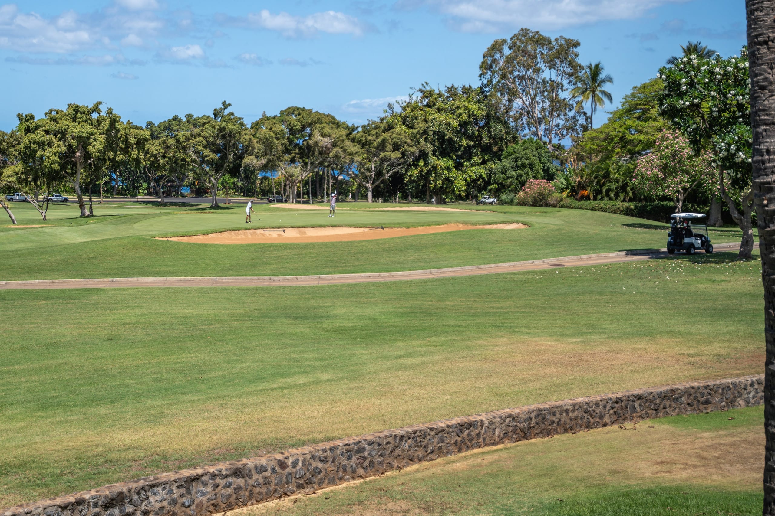 Beautiful Wailea Condo on the Golf Course GC147 - Image 35