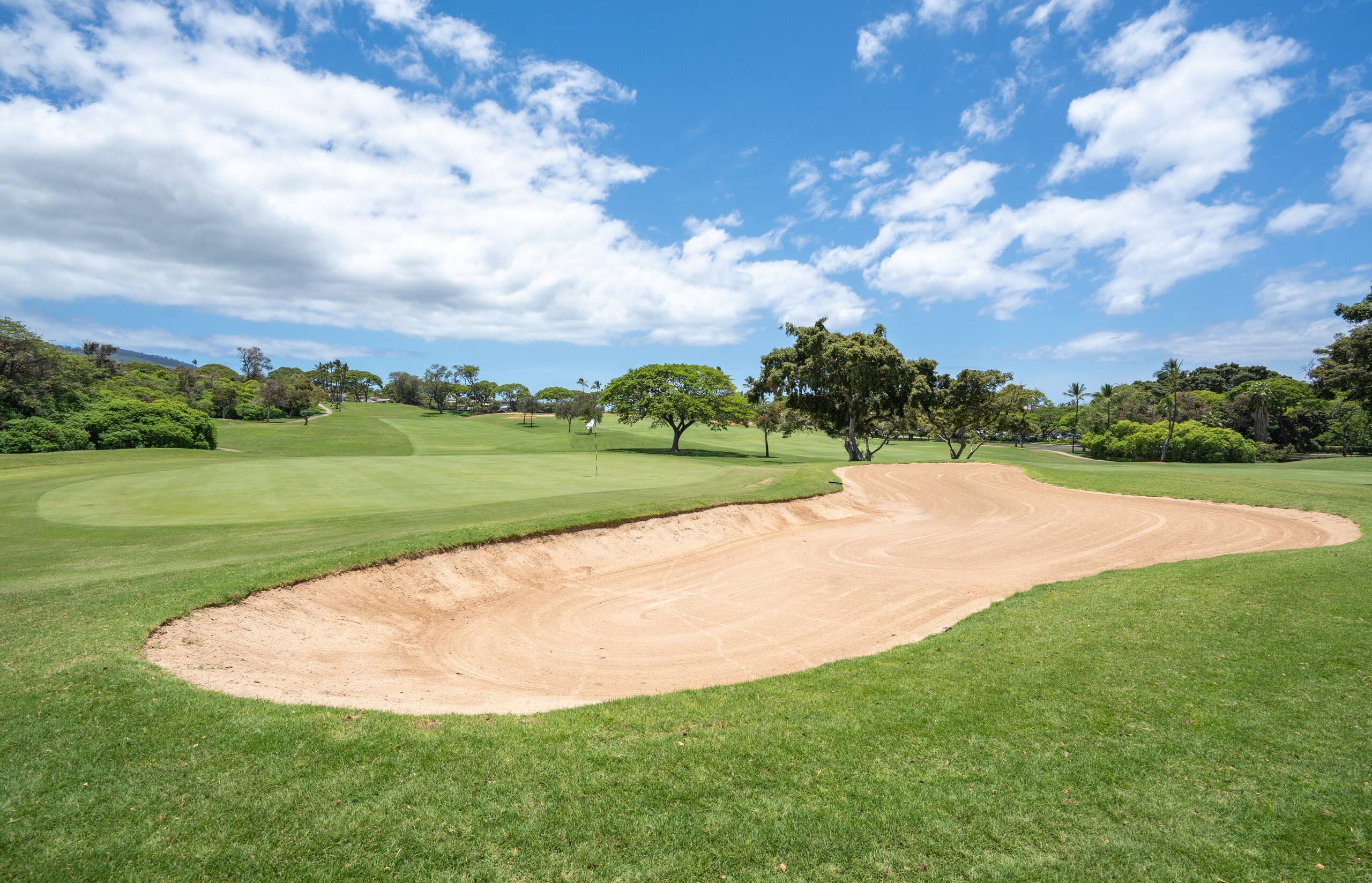 Beautiful Wailea Condo on the Golf Course GC147 - Image 37