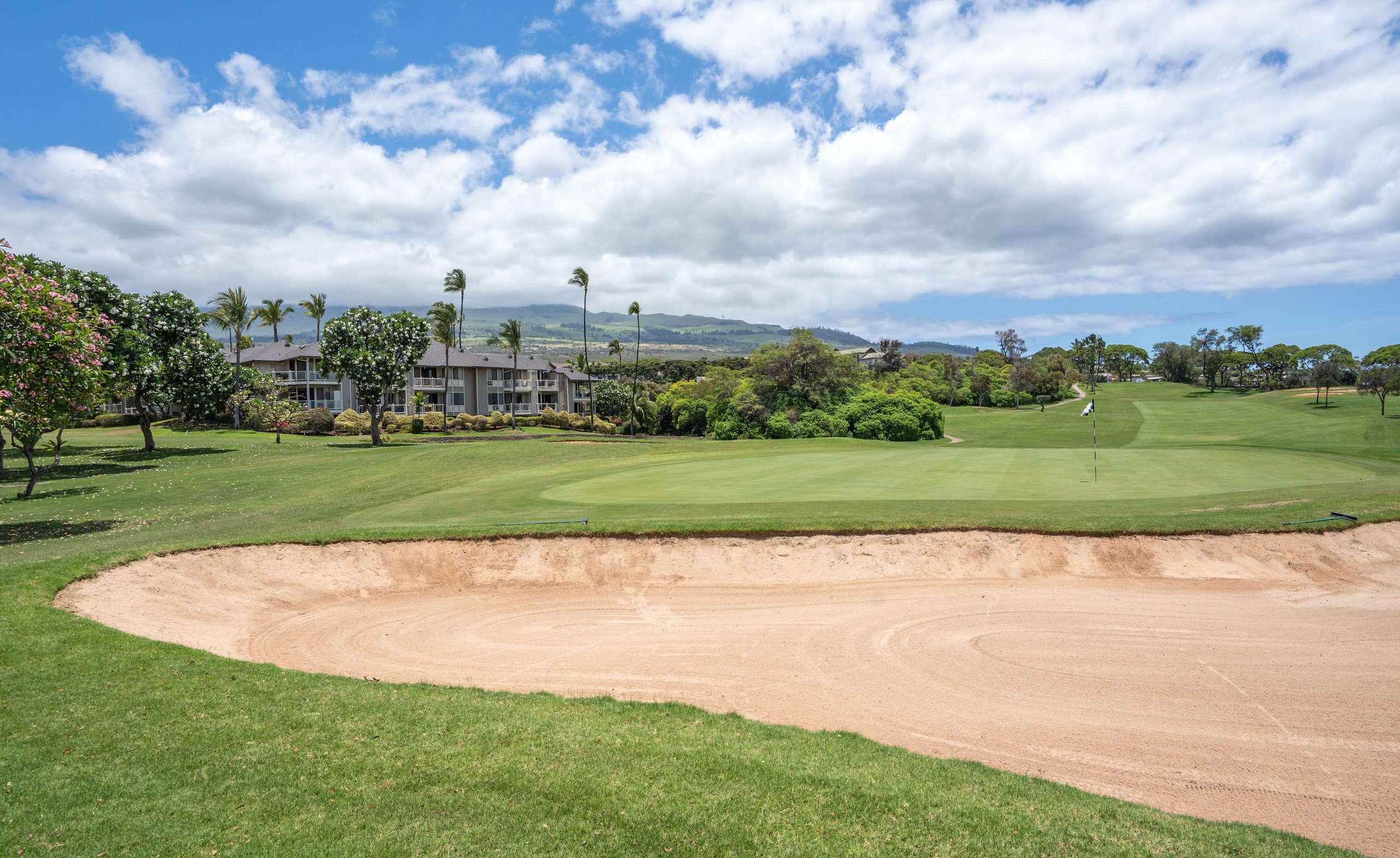 Beautiful Wailea Condo on the Golf Course GC147 - Image 36