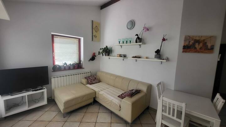 غرفة المعيشة