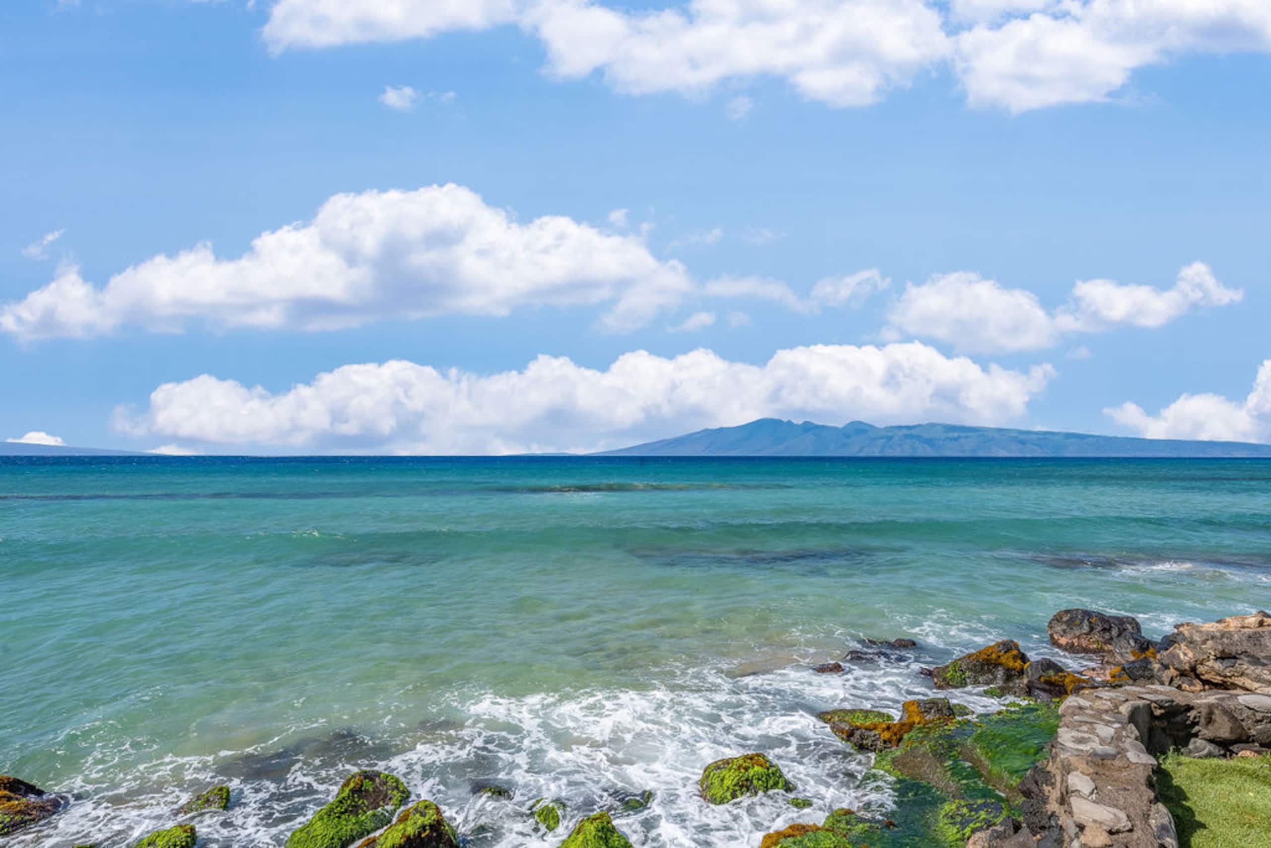 Spectacular Oceanfront Views - Image 41