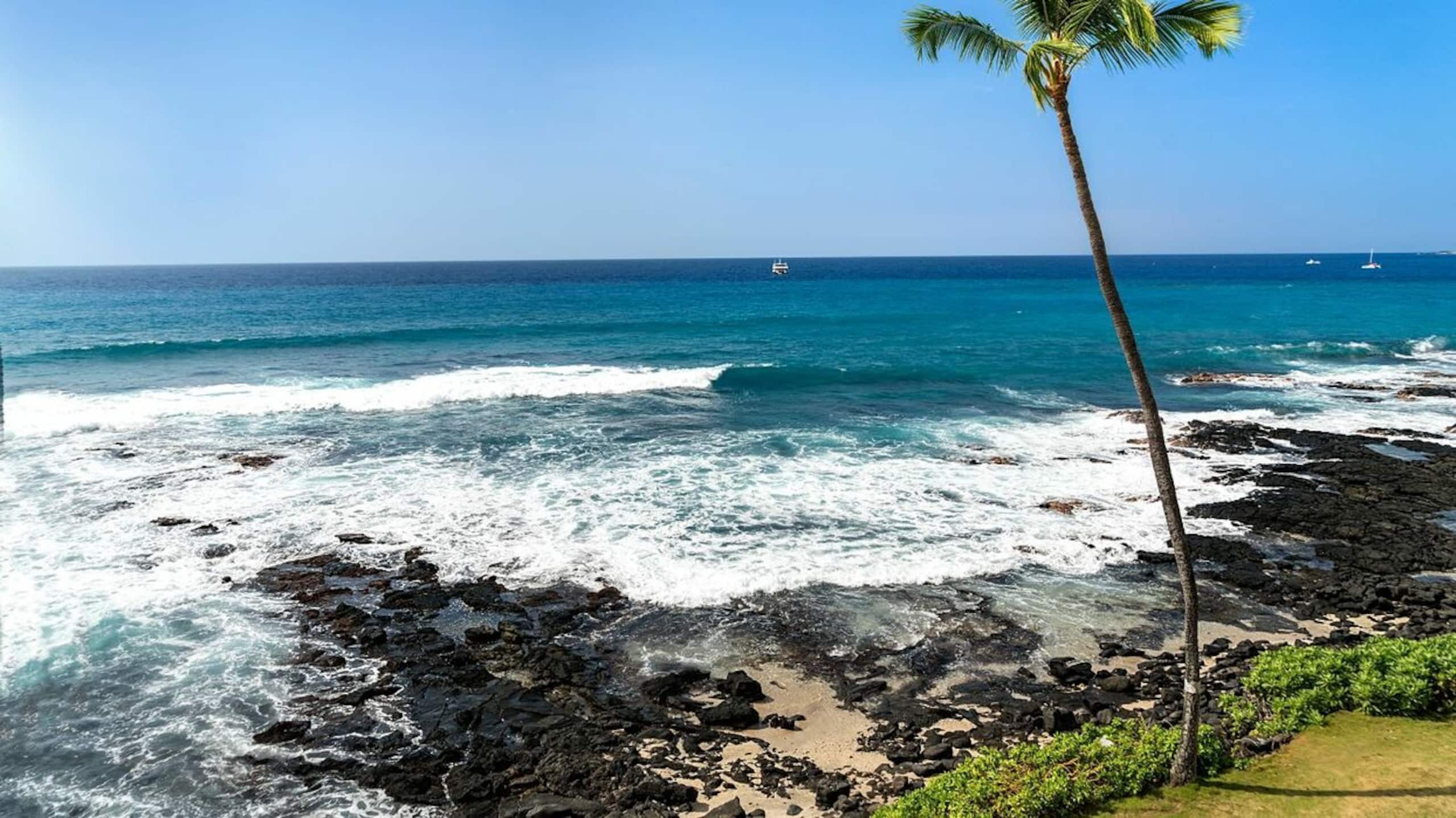 Condo in Kailua-Kona · ★5.0 · 1 bedroom · 1 bed · 1 bath - Image 13