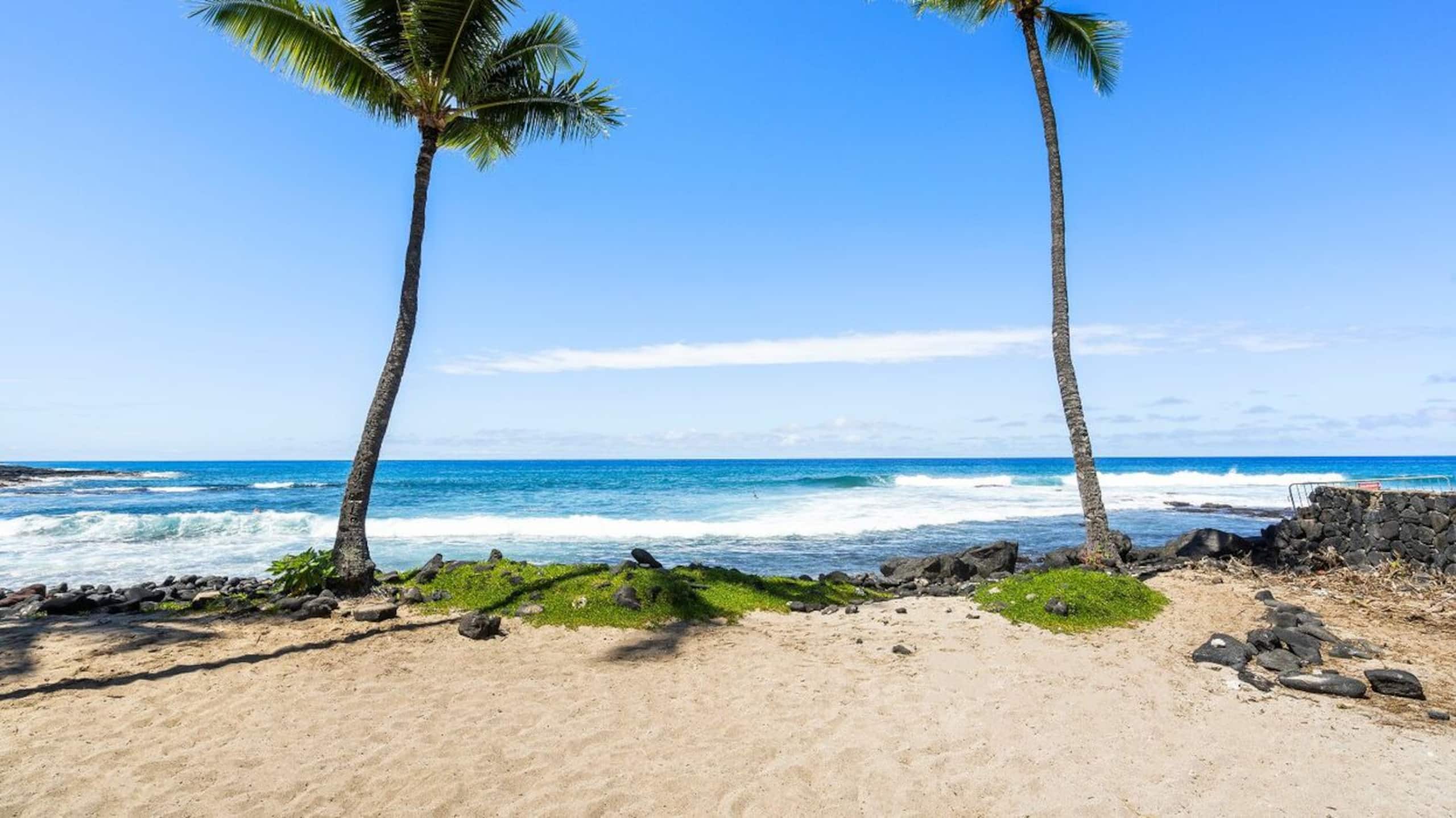 Condo in Kailua-Kona · ★5.0 · 1 bedroom · 1 bed · 1 bath - Image 28