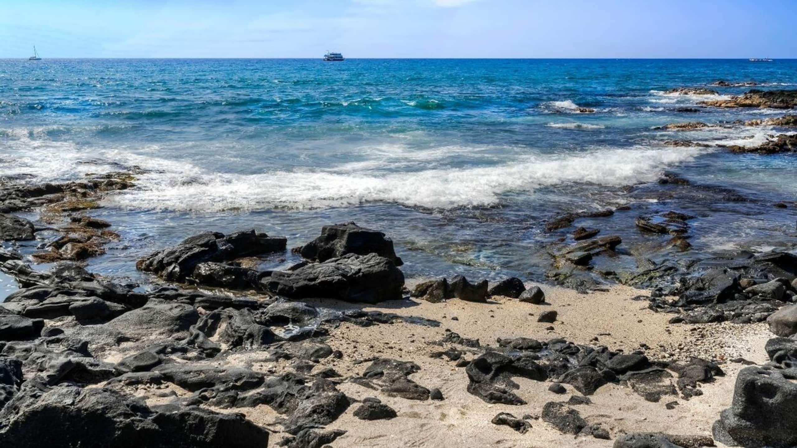 Condo in Kailua-Kona · ★5.0 · 1 bedroom · 1 bed · 1 bath - Image 30