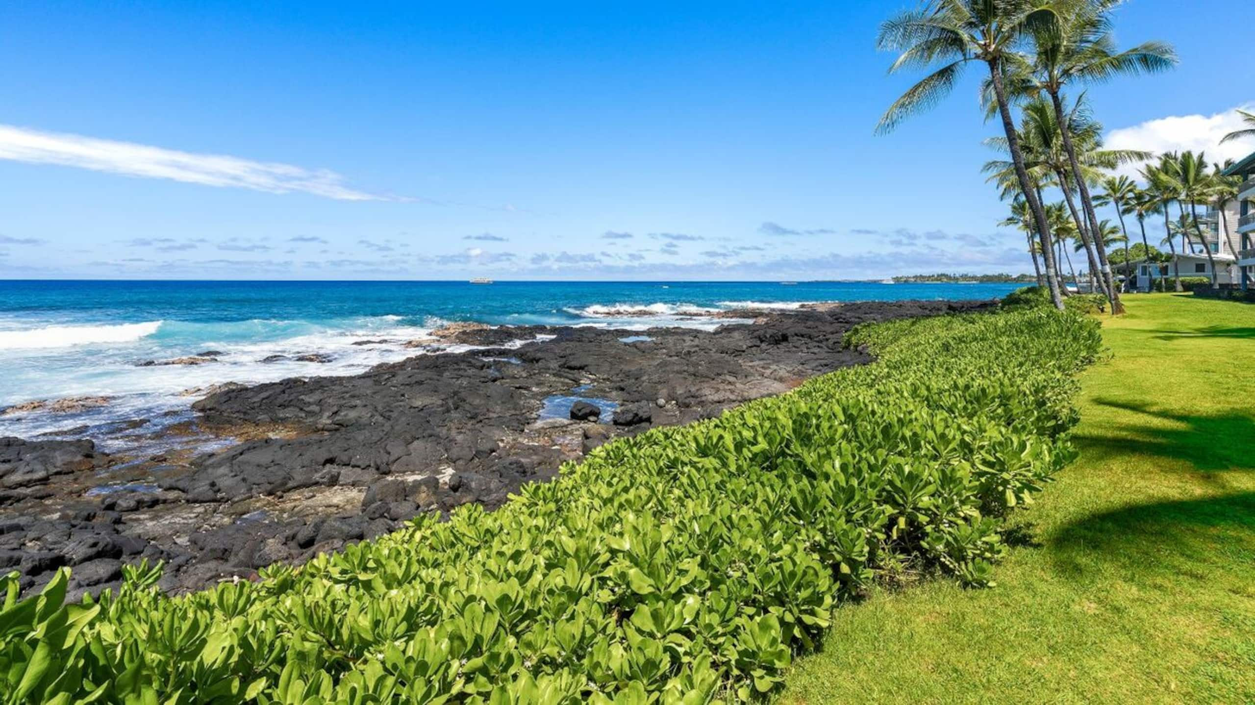 Condo in Kailua-Kona · ★5.0 · 1 bedroom · 1 bed · 1 bath - Image 24