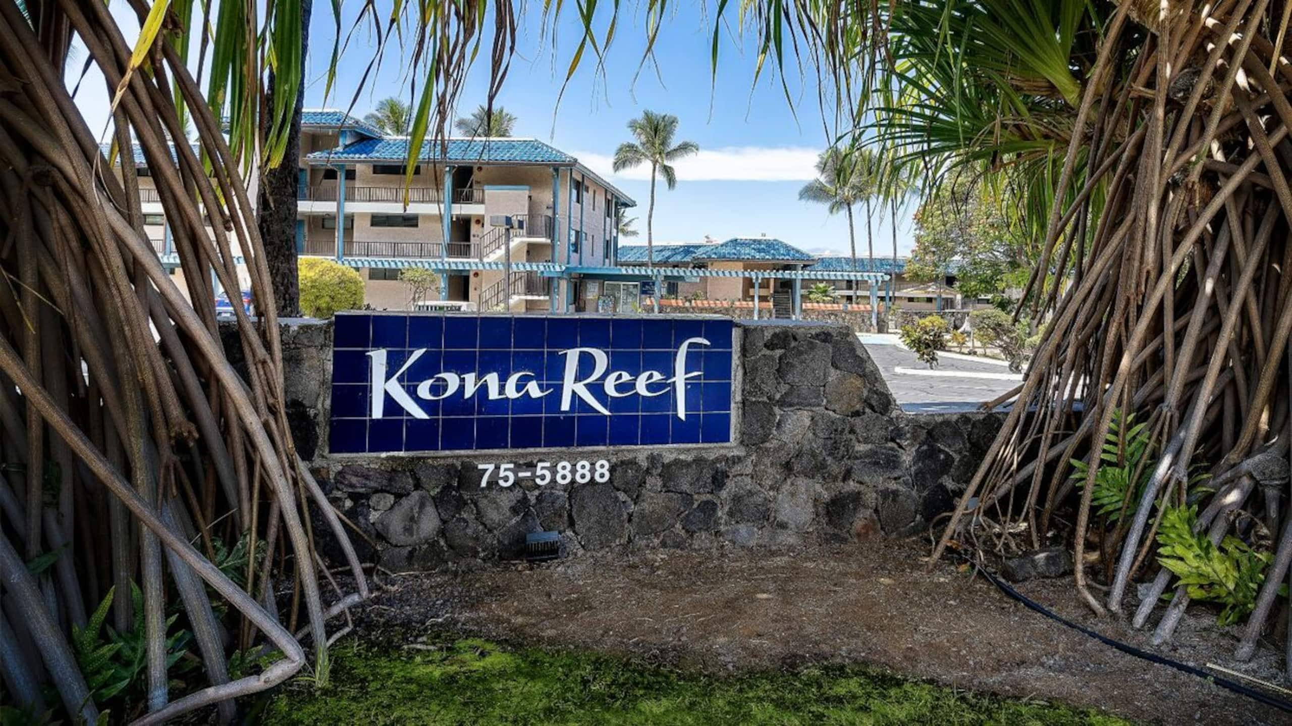 Condo in Kailua-Kona · ★5.0 · 1 bedroom · 1 bed · 1 bath - Image 20
