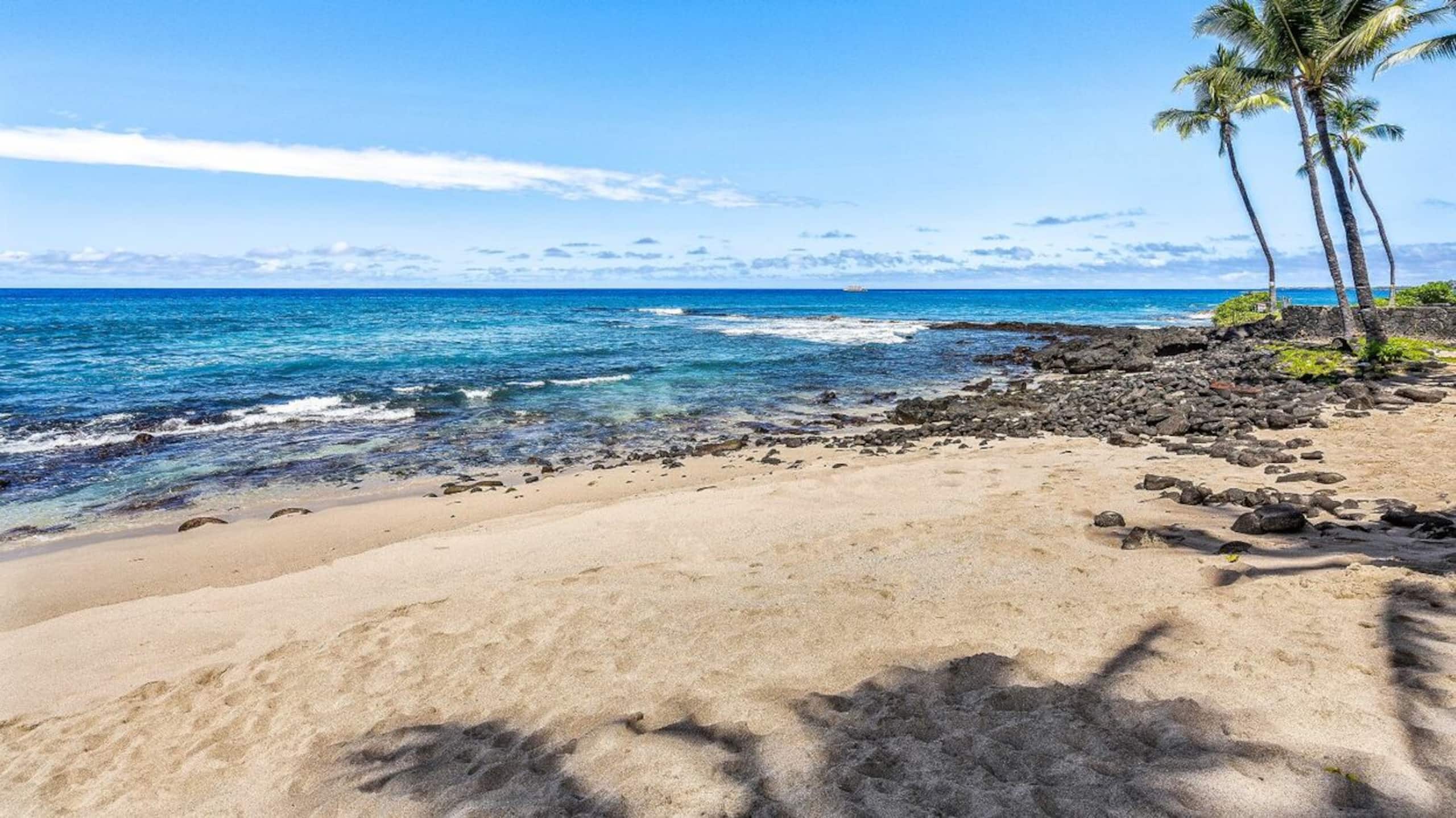 Condo in Kailua-Kona · ★5.0 · 1 bedroom · 1 bed · 1 bath - Image 29