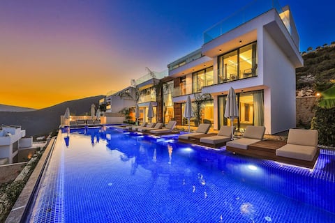 Villa Max View