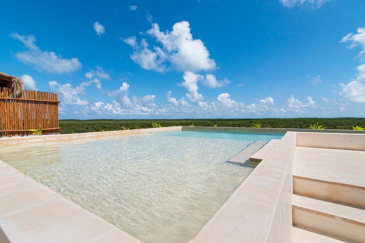 A serene plunge pool reflects the blue sky and fluffy white clouds above. The water appears crystal clear, inviting relaxation. Lush greenery can be seen surrounding the pool area, extending into the horizon.