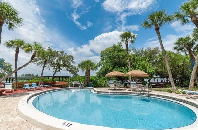 A heated community pool is surrounded by palm trees, offering ample seating with lounge chairs and two shaded umbrellas. The clear blue sky is reflected in the water, creating a relaxing outdoor space. Lush greenery is visible in the background, enhancing the serene environment.
