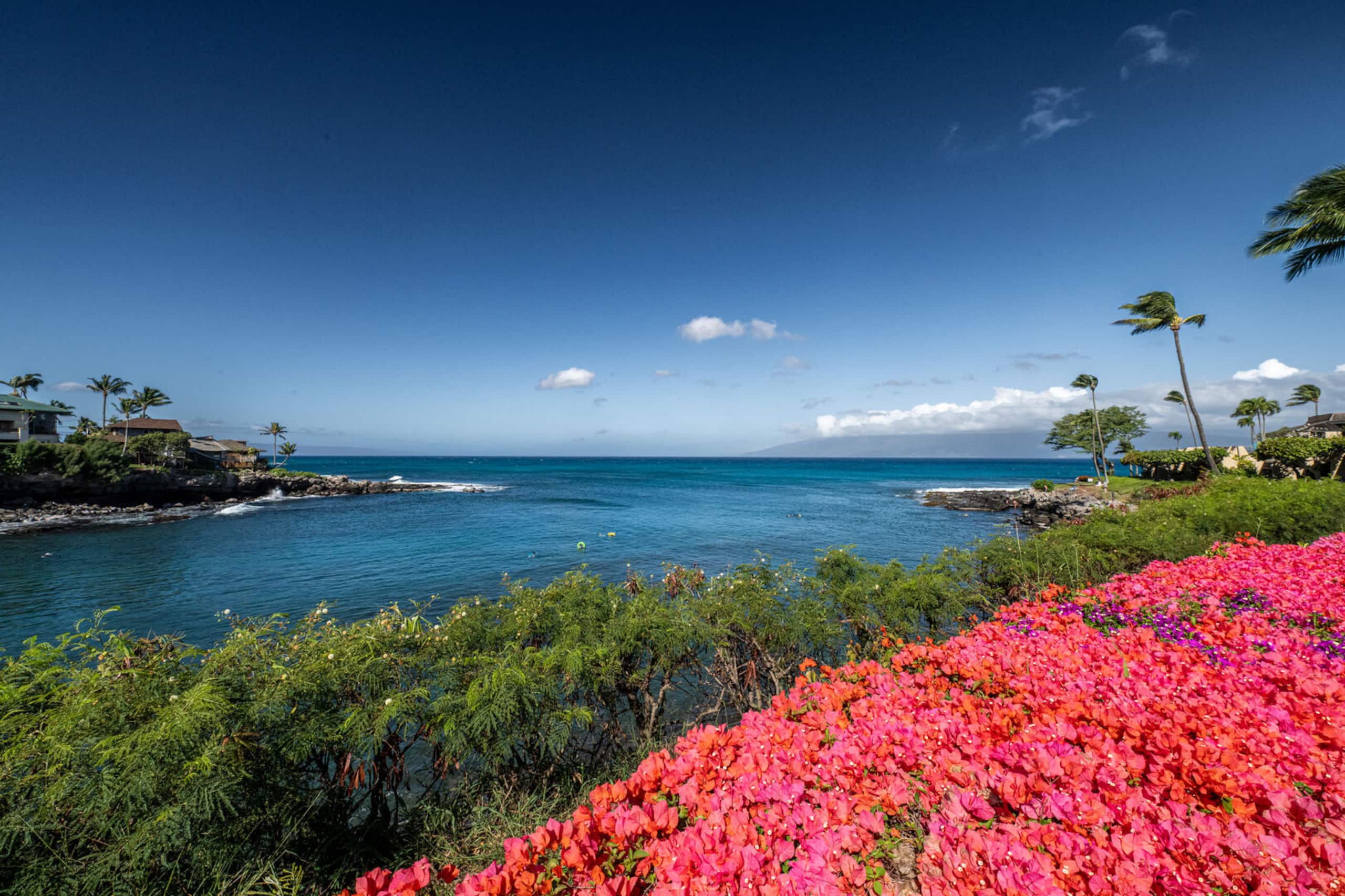 Napili Point C35 2BD Magical Sunsets and Oceanview - Image 36