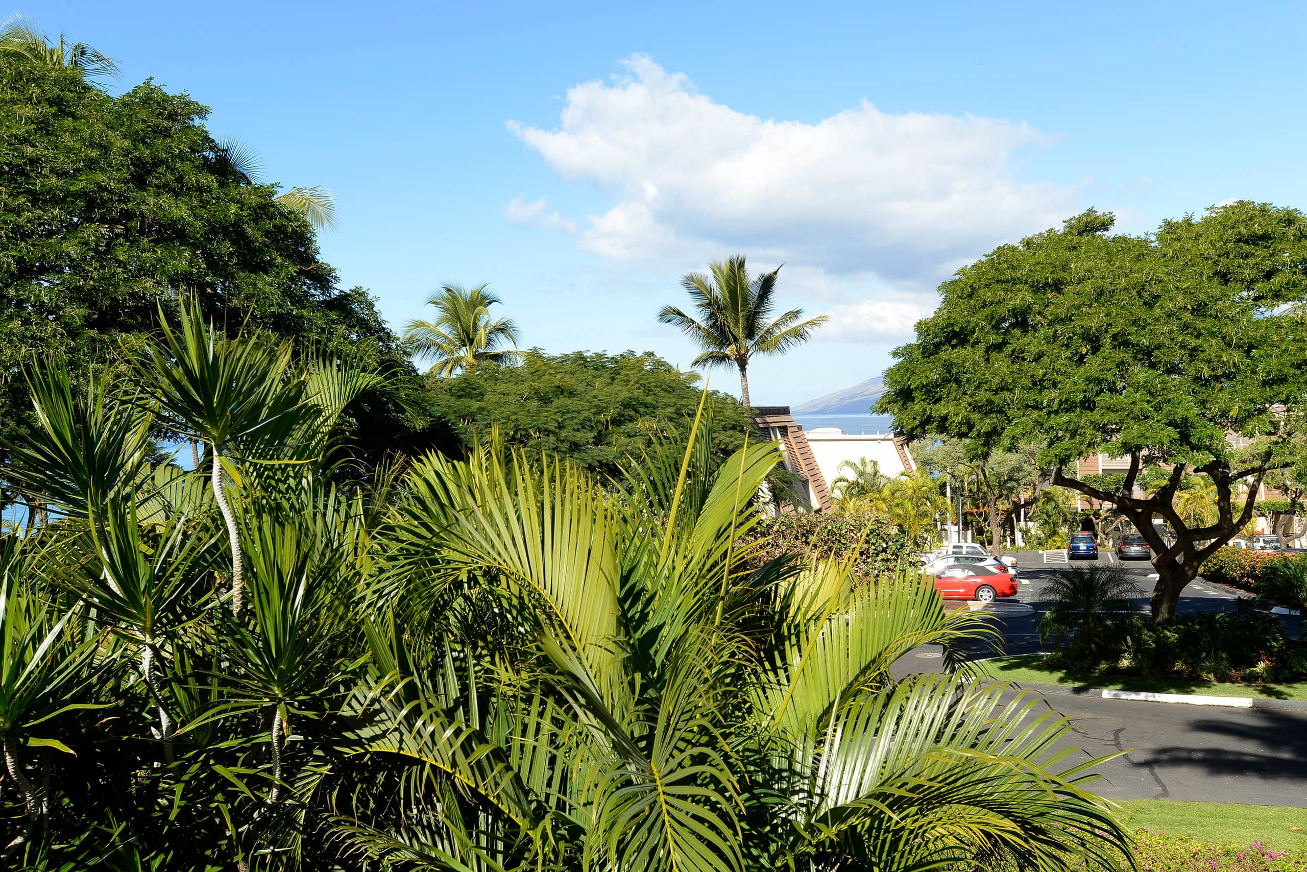 Ocean View, Large Lanai, A/C, Near Beach, MKB210 - Image 22