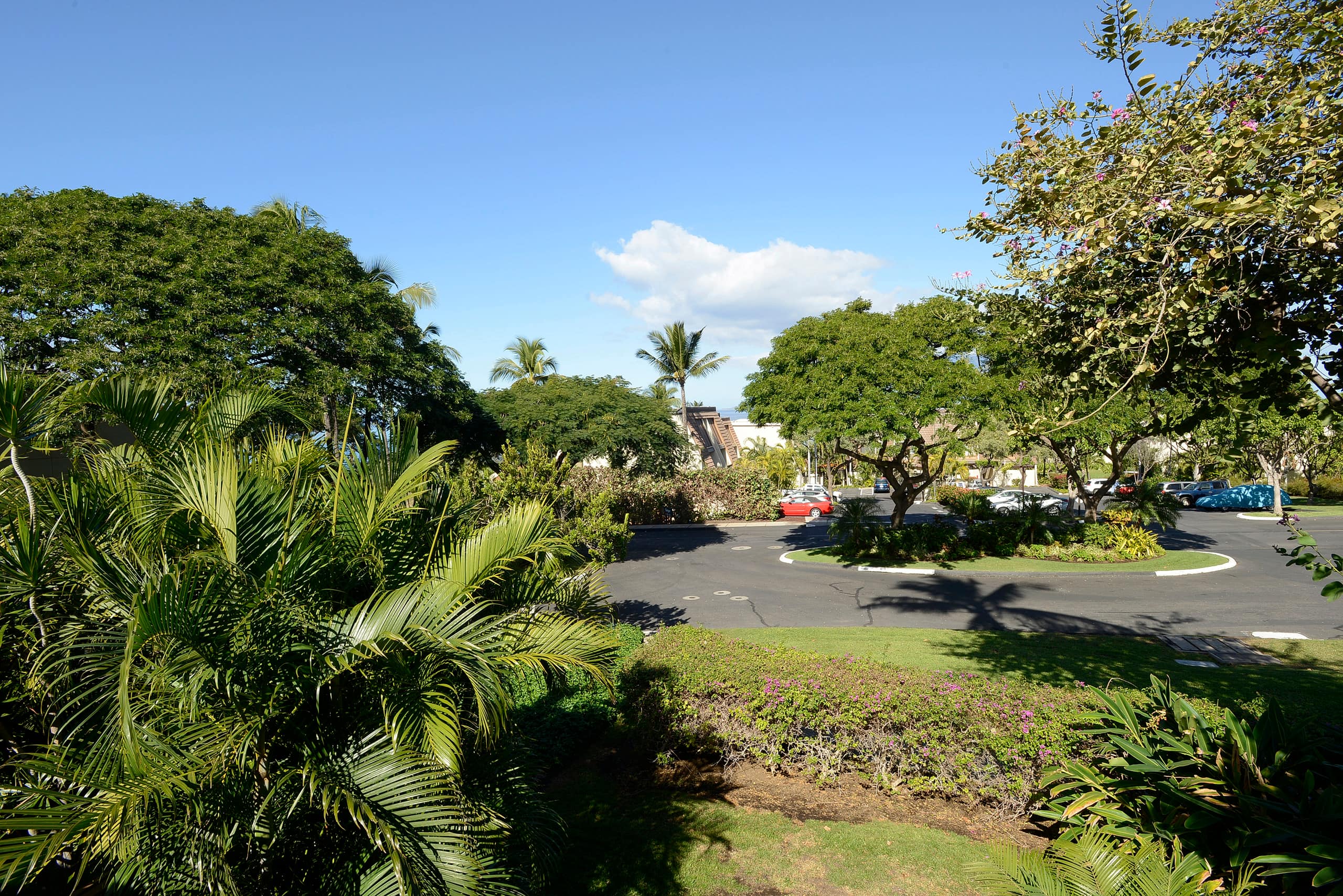 Ocean View, Large Lanai, A/C, Near Beach, MKB210 - Image 23
