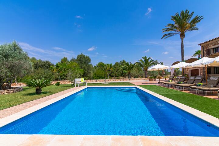 Can Sanchez gallery image 4