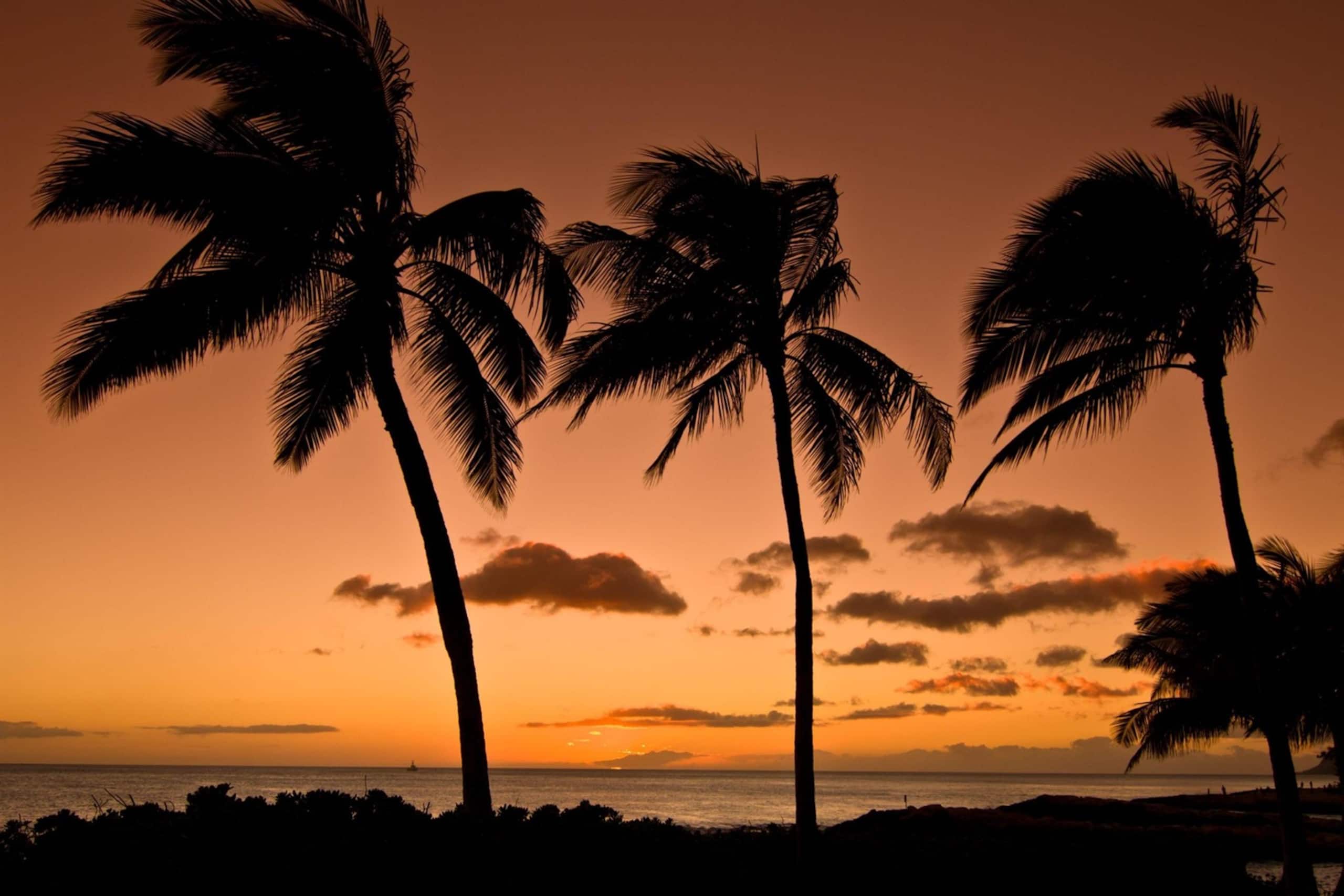 Condo in Kihei · ★5.0 · 2 bedrooms · 5 beds · 2 baths - Image 41
