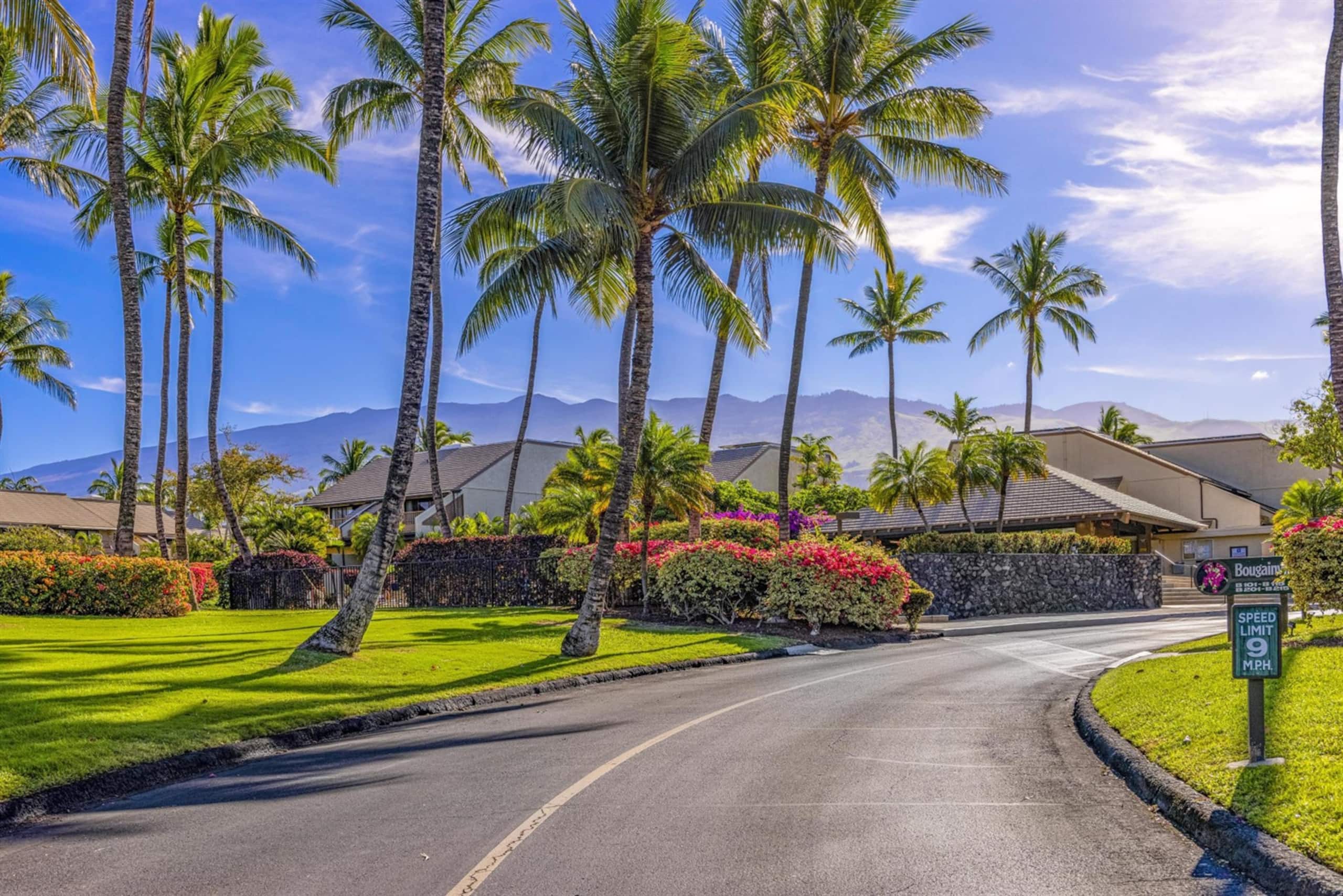 Condo in Kihei · ★5.0 · 2 bedrooms · 5 beds · 2 baths - Image 1