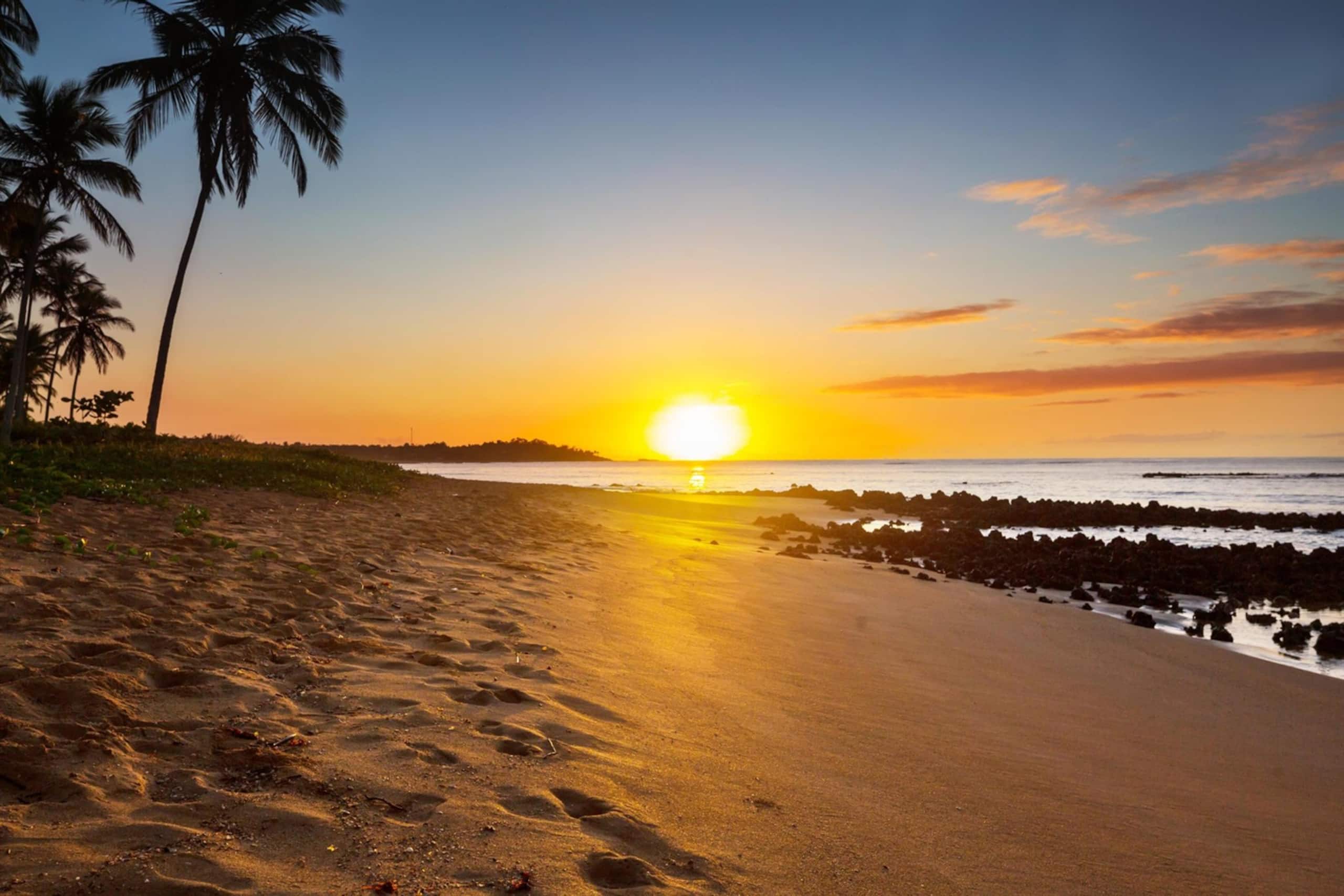 Condo in Kihei · ★5.0 · 2 bedrooms · 5 beds · 2 baths - Image 40