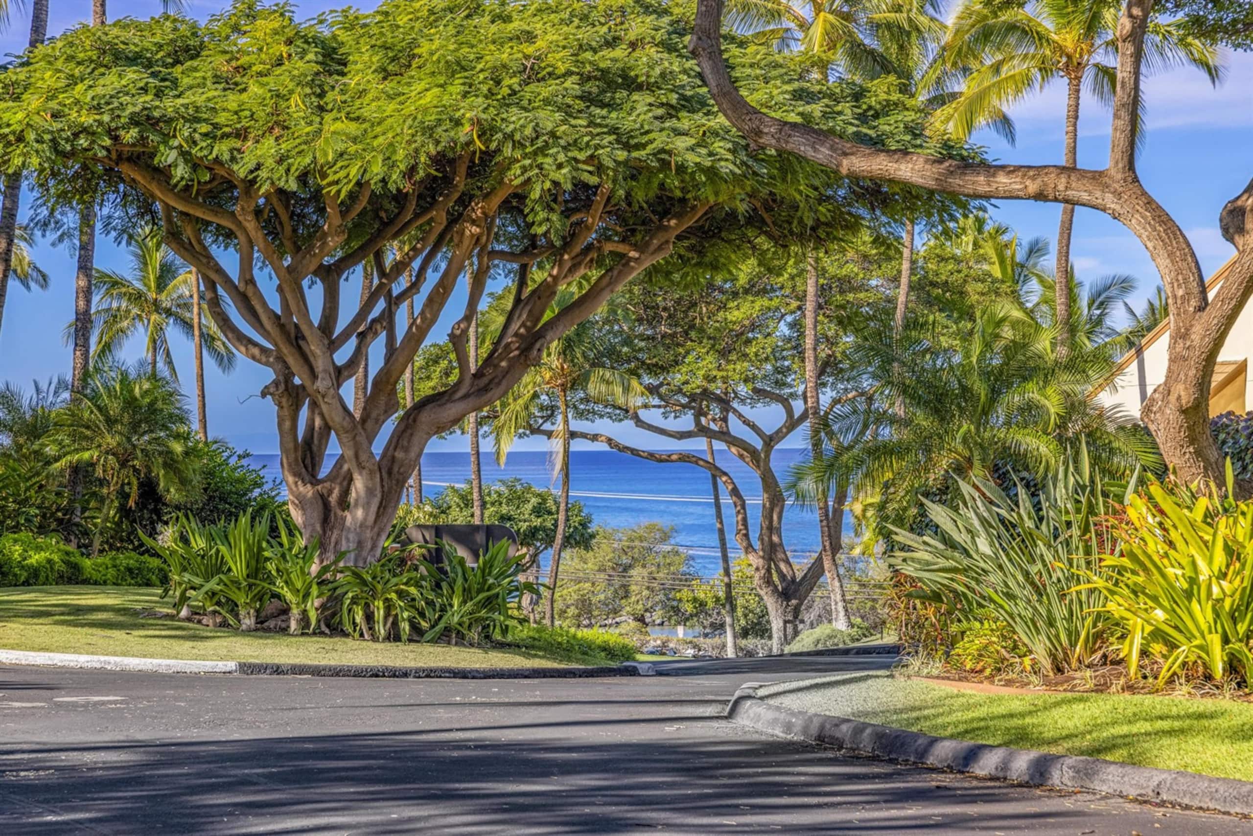 Condo in Kihei · ★5.0 · 2 bedrooms · 5 beds · 2 baths - Image 38
