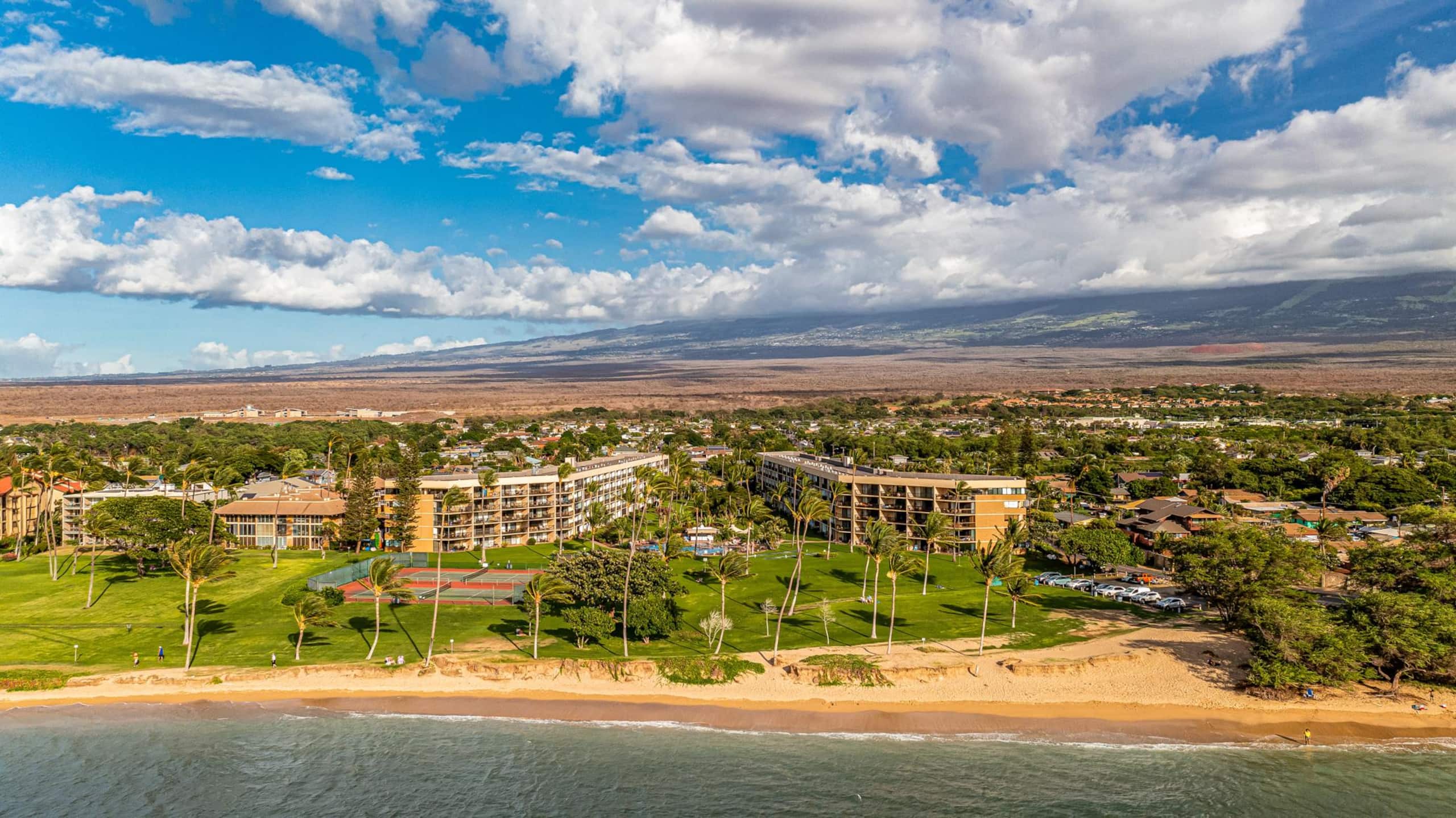 Dream Hawaiian Getaway at Stunning Oceanfront Maui - Photo 47