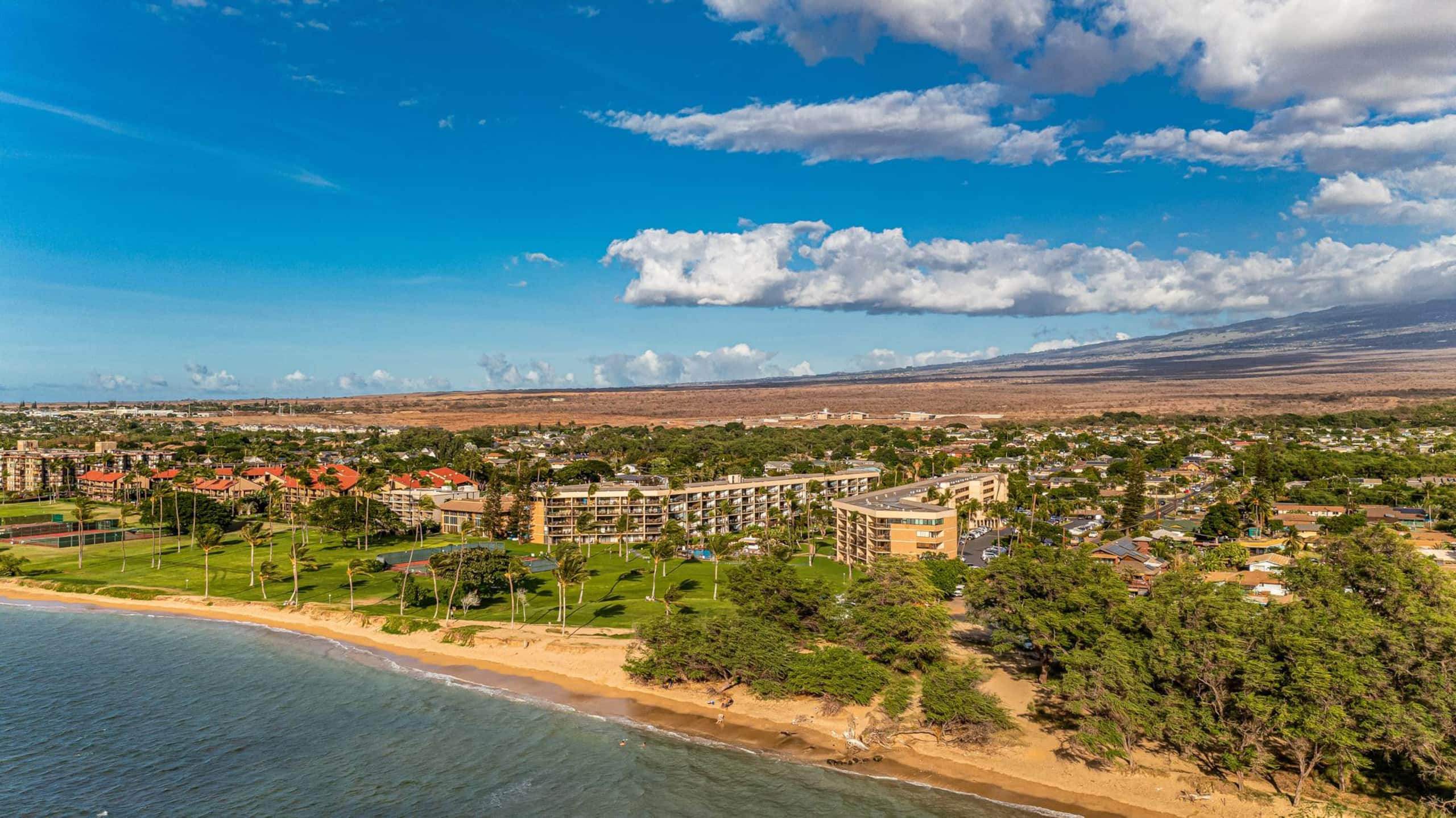 Dream Hawaiian Getaway at Stunning Oceanfront Maui - Photo 48