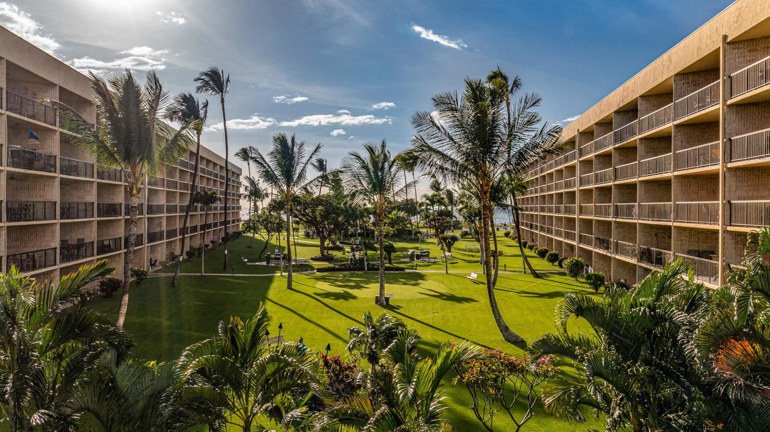 Dream Hawaiian Getaway at Stunning Oceanfront Maui - Photo 50