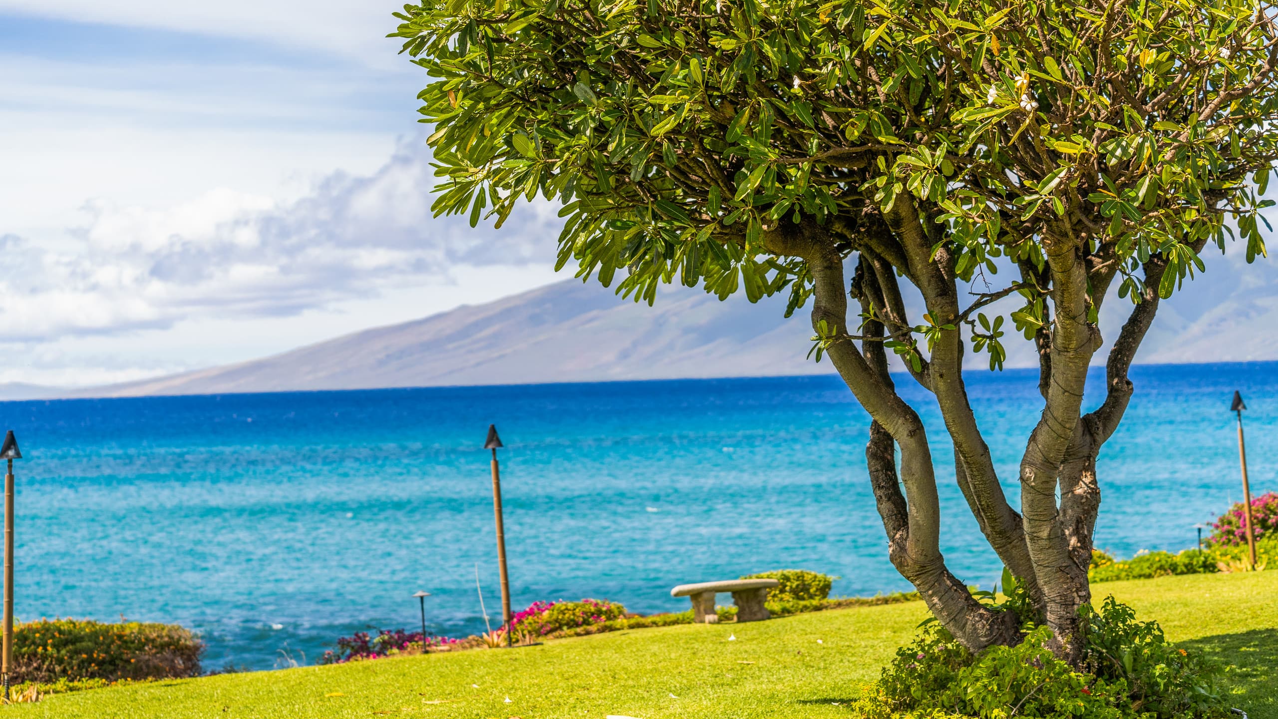 Condo in Lahaina · ★4.74 · 1 bedroom · 2 beds · 1 bath - Image 35
