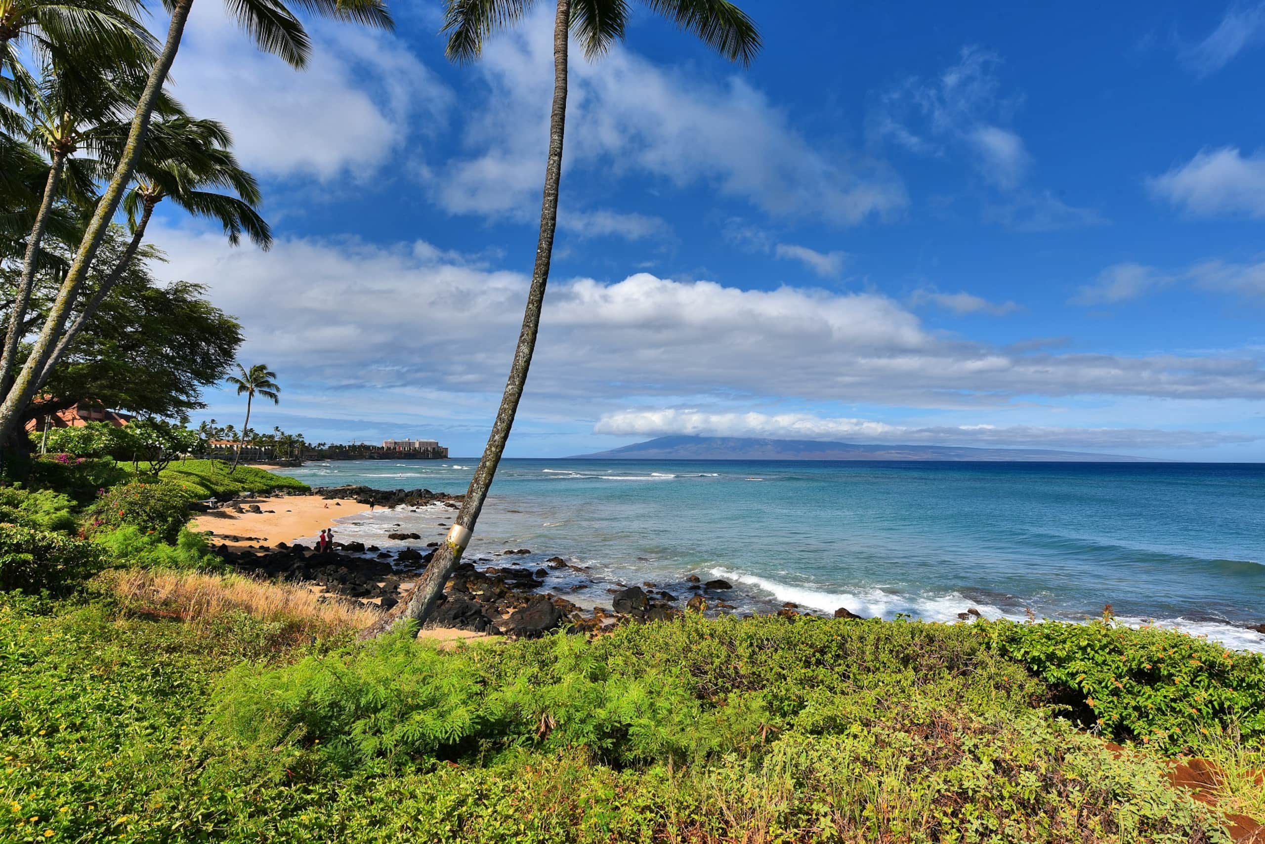 Condo in Lahaina · ★4.74 · 1 bedroom · 2 beds · 1 bath - Image 33