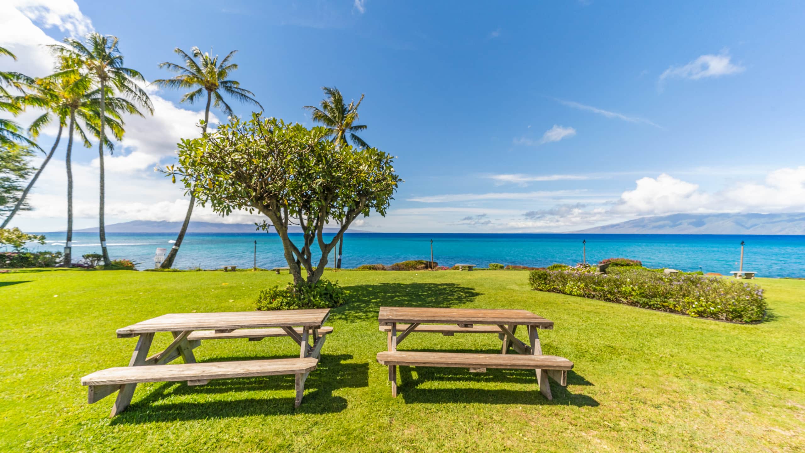 Condo in Lahaina · ★4.74 · 1 bedroom · 2 beds · 1 bath - Image 38